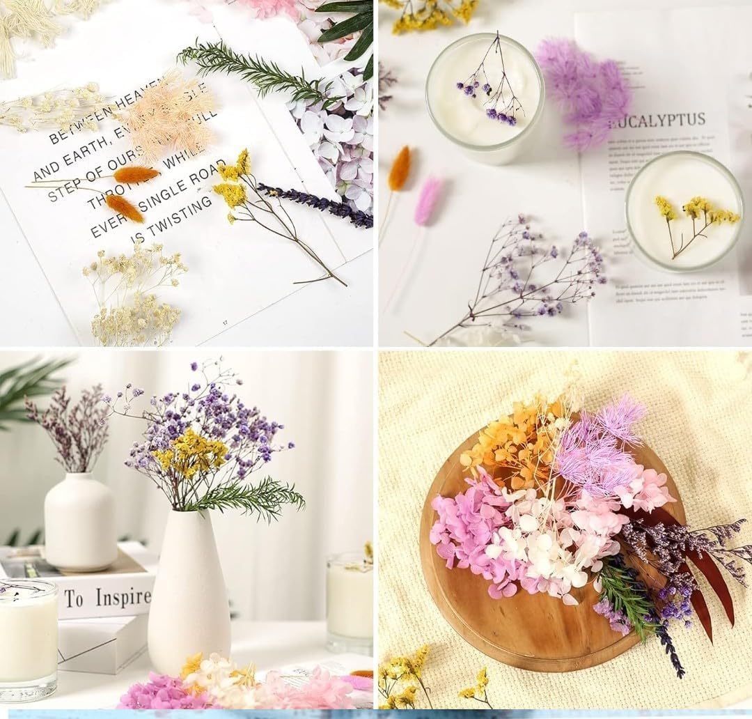 DRY Flowers, Multicolor Real Dry Flower Box for Resin Art, Craft, Projects, Decoration . MG20535