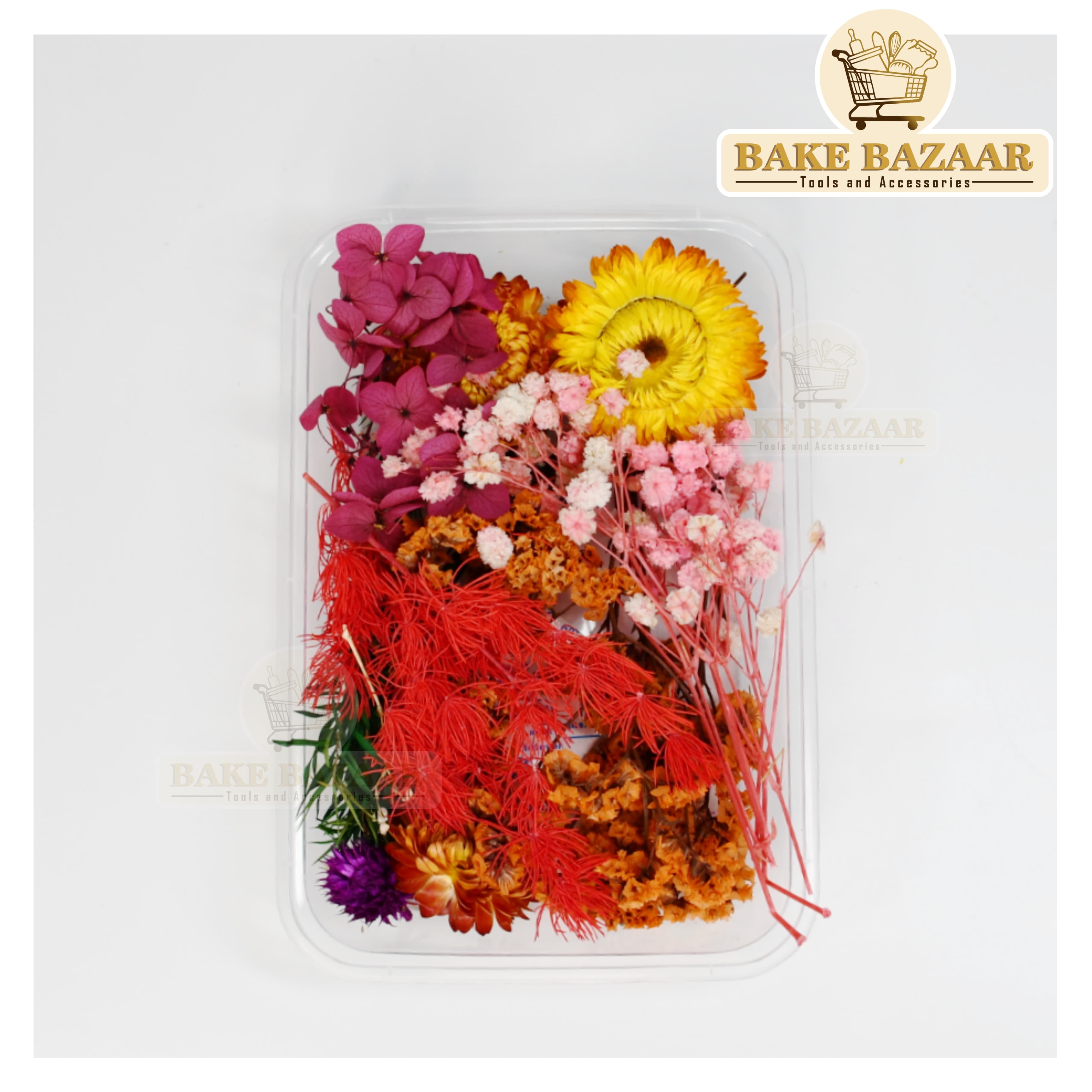 DRY Flowers, Multicolor Real Dry Flower Box for Resin Art, Craft, Projects, Decoration . MG2057