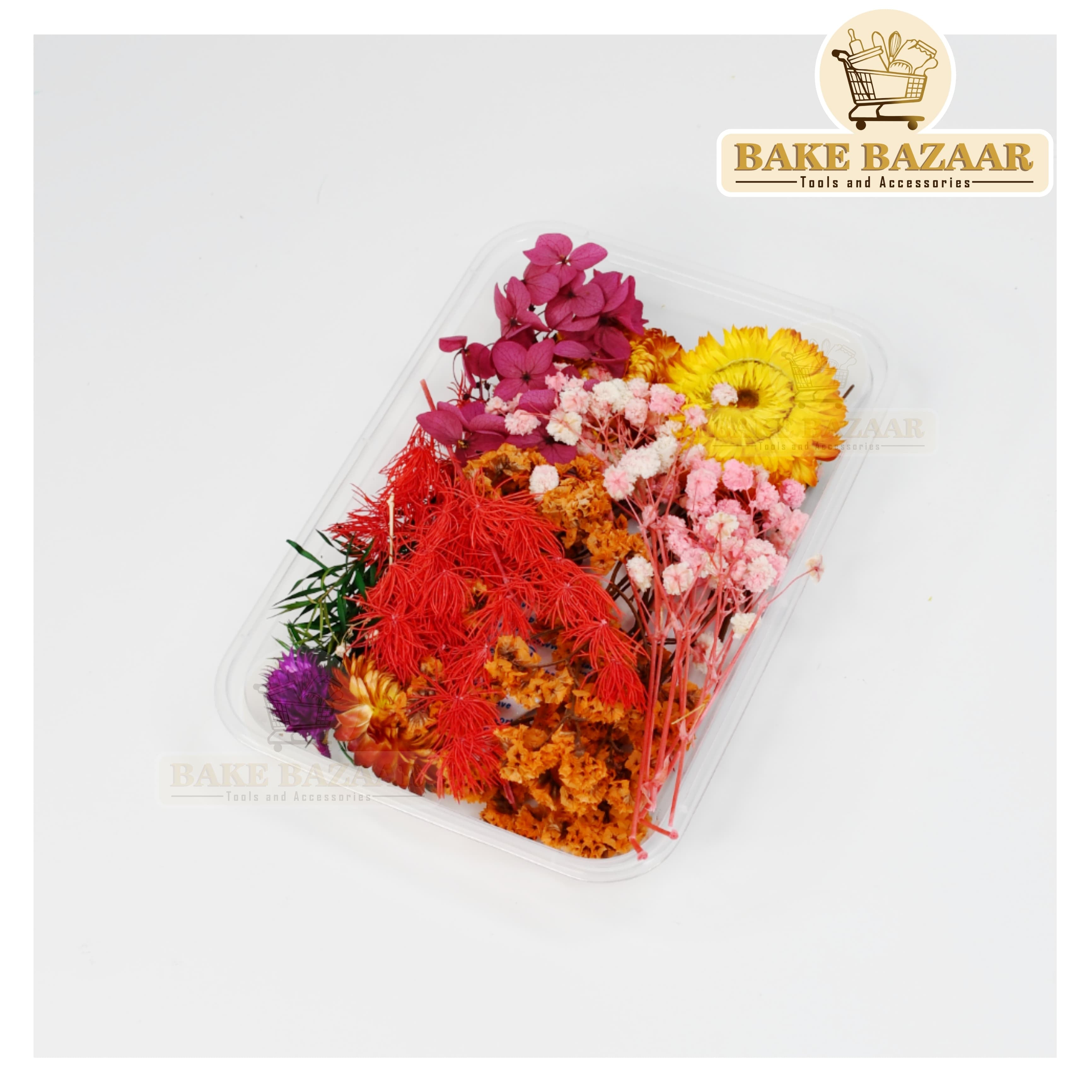 DRY Flowers, Multicolor Real Dry Flower Box for Resin Art, Craft, Projects, Decoration . MG2057