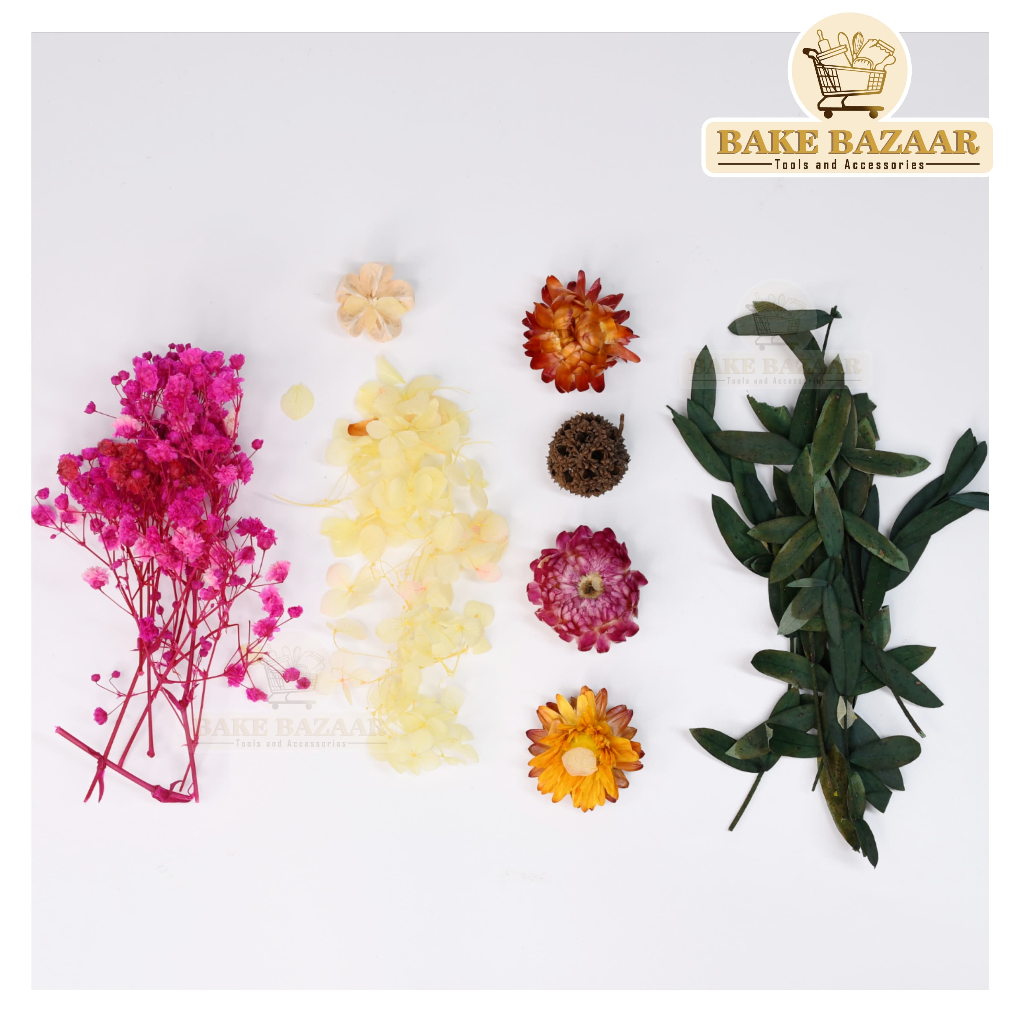 DRY Flowers, Multicolor Real Dry Flower Box for Resin Art, Craft, Projects, Decoration . MG20510