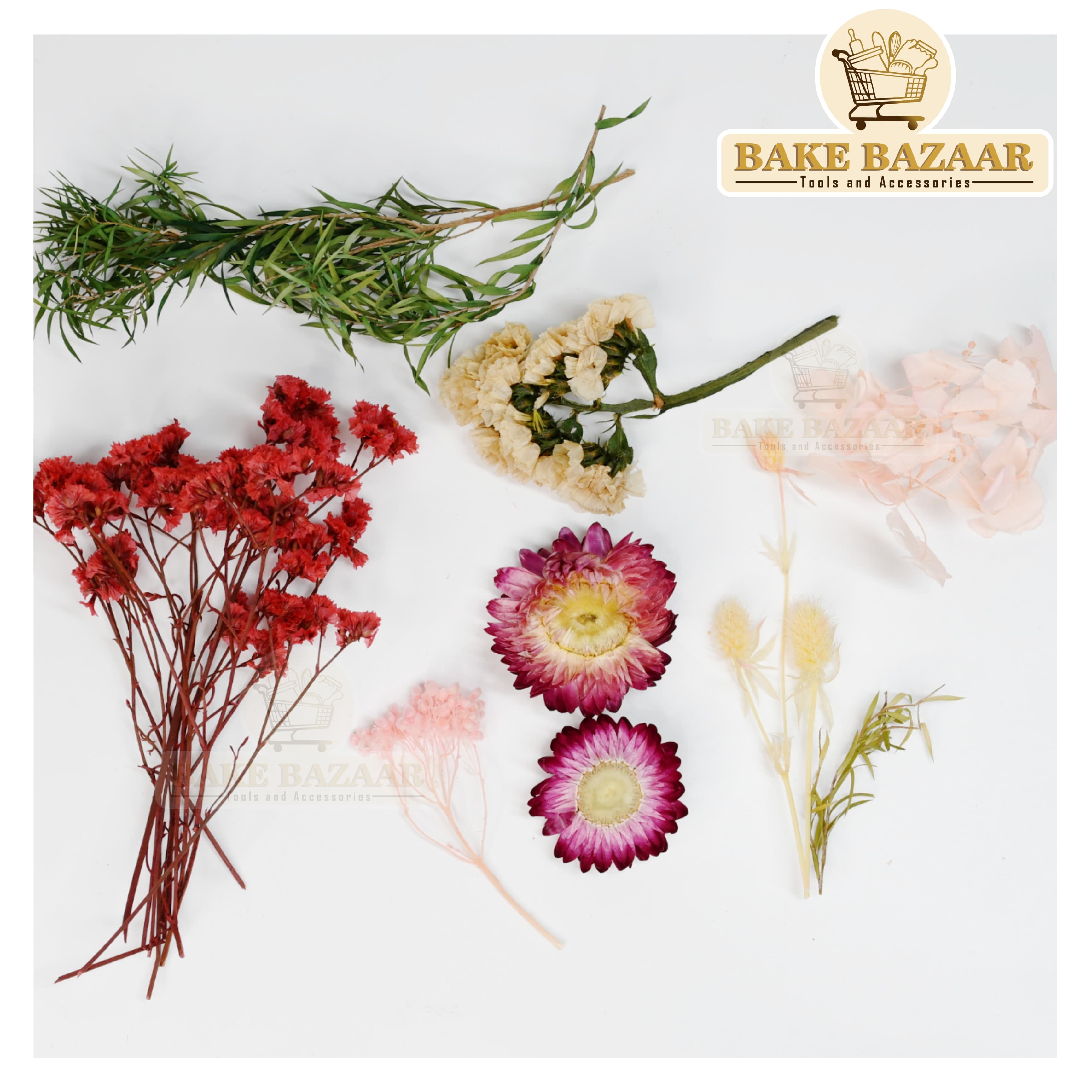 DRY Flowers, Multicolor Real Dry Flower Box for Resin Art, Craft, Projects, Decoration . MG20539