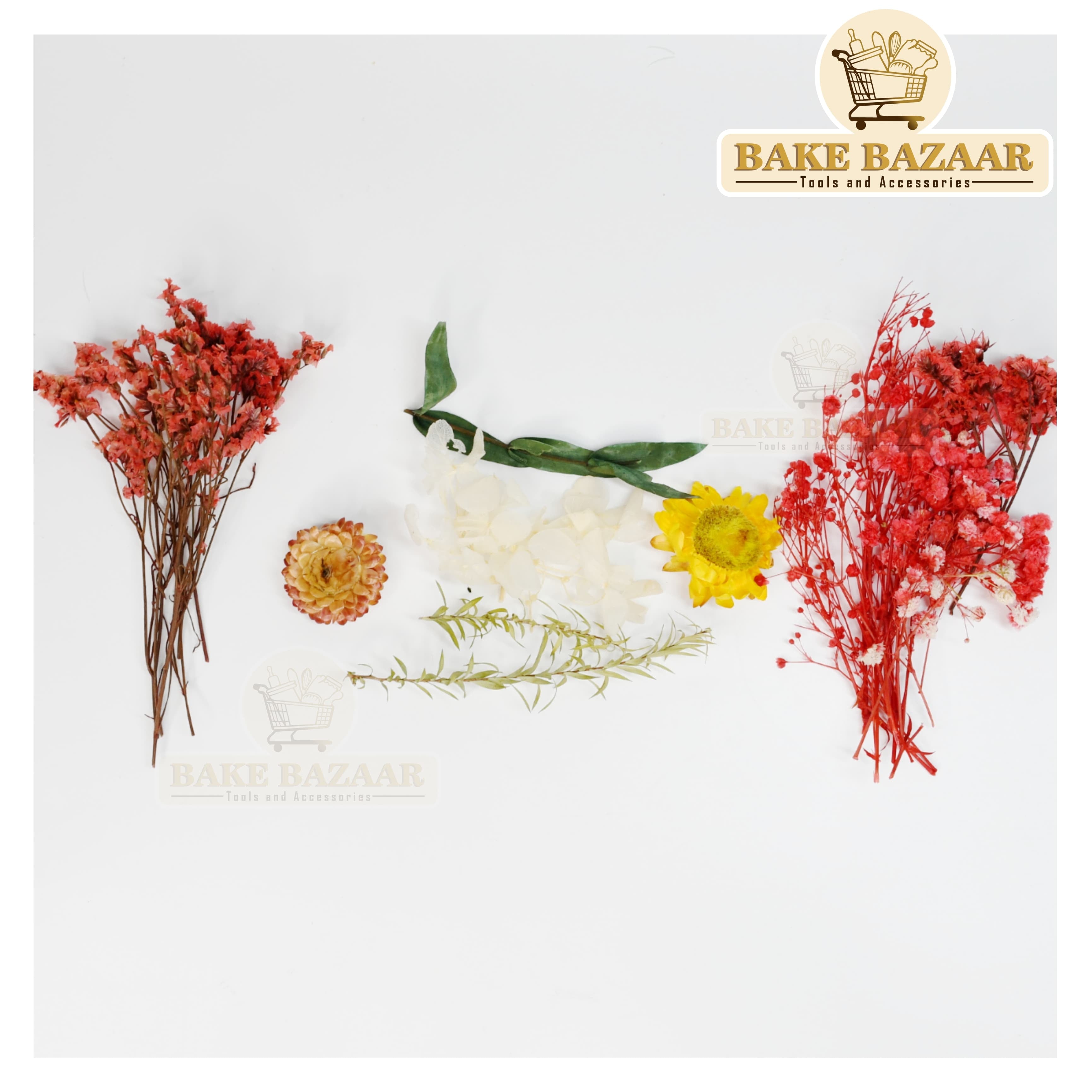 DRY Flowers, Multicolor Real Dry Flower Box for Resin Art, Craft, Projects, Decoration . MG2034