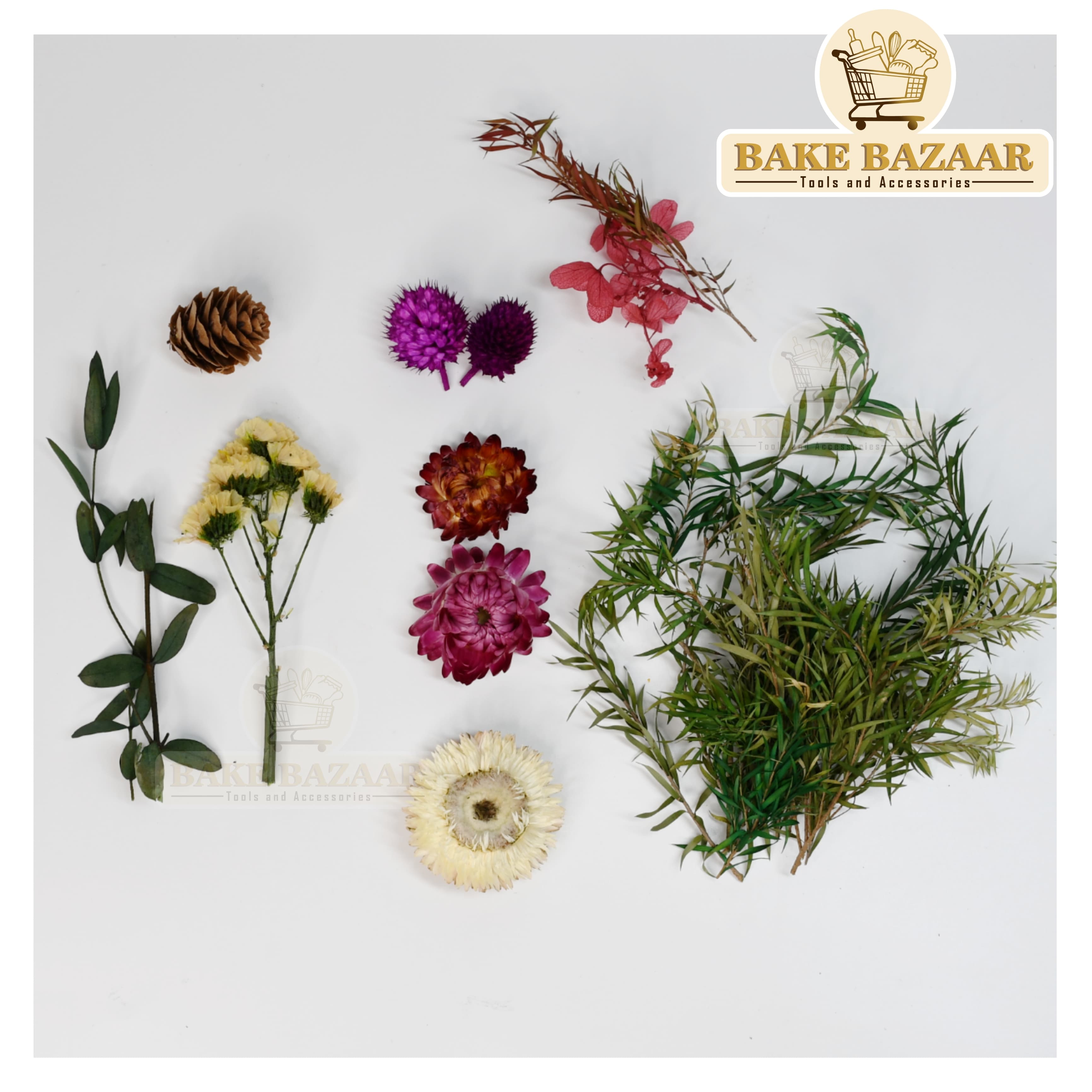 DRY Flowers, Multicolor Real Dry Flower Box for Resin Art, Craft, Projects, Decoration . MG20519