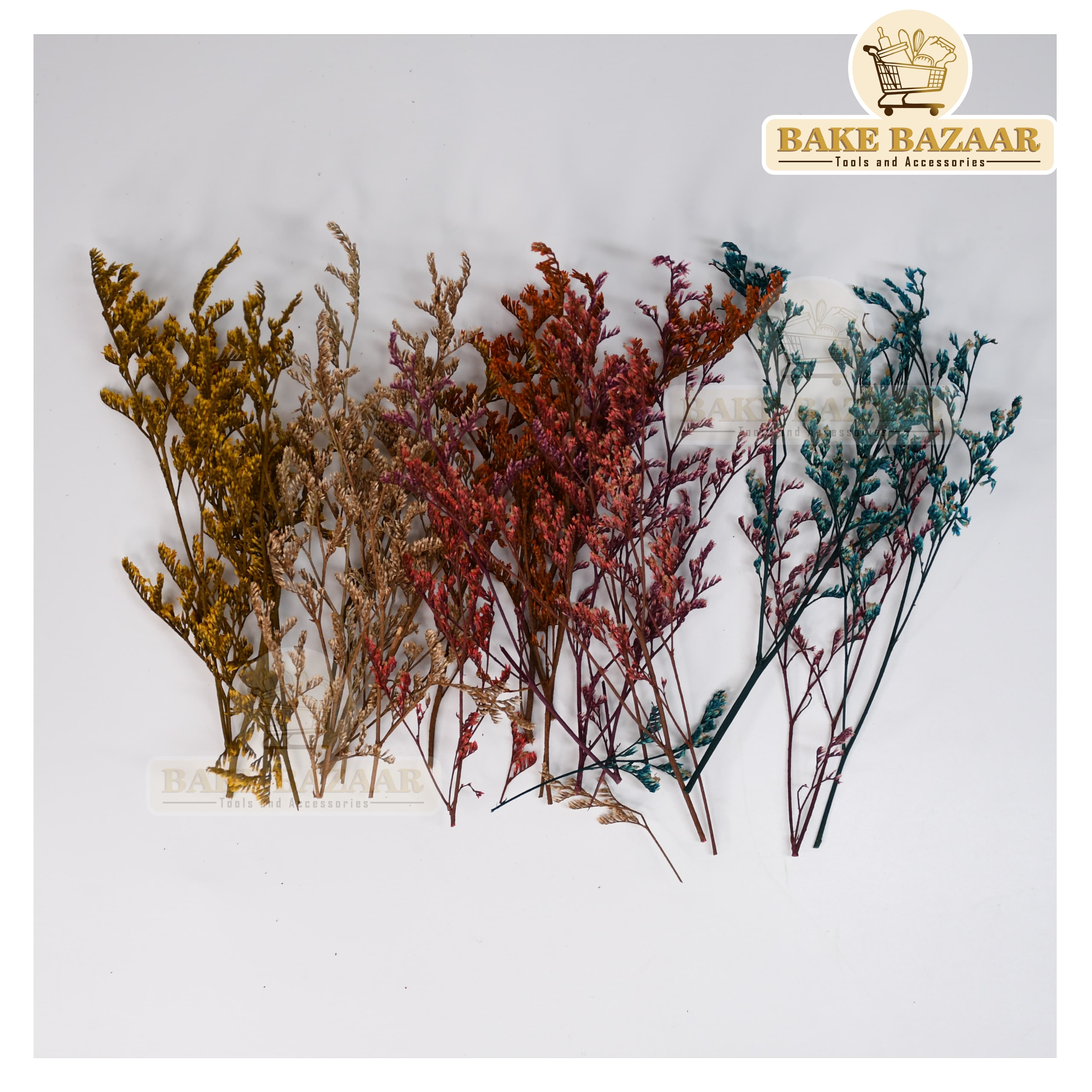 DRY Flowers, Multicolor Real Dry Flower Box for Resin Art, Craft, Projects, Decoration . MG227C8