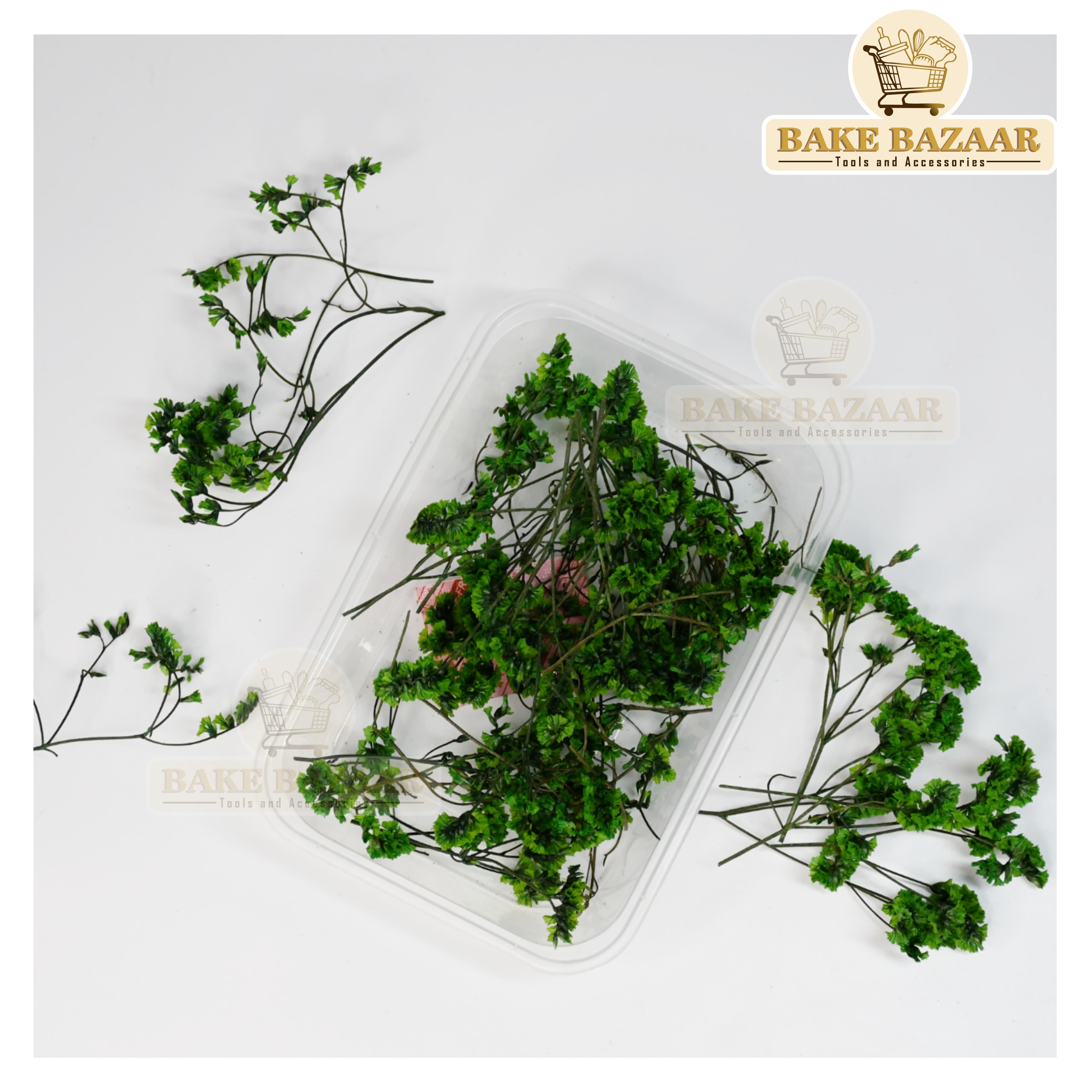 DRY Flowers, Multicolor Real Dry Flower Box for Resin Art, Craft, Projects, Decoration . MG227B6