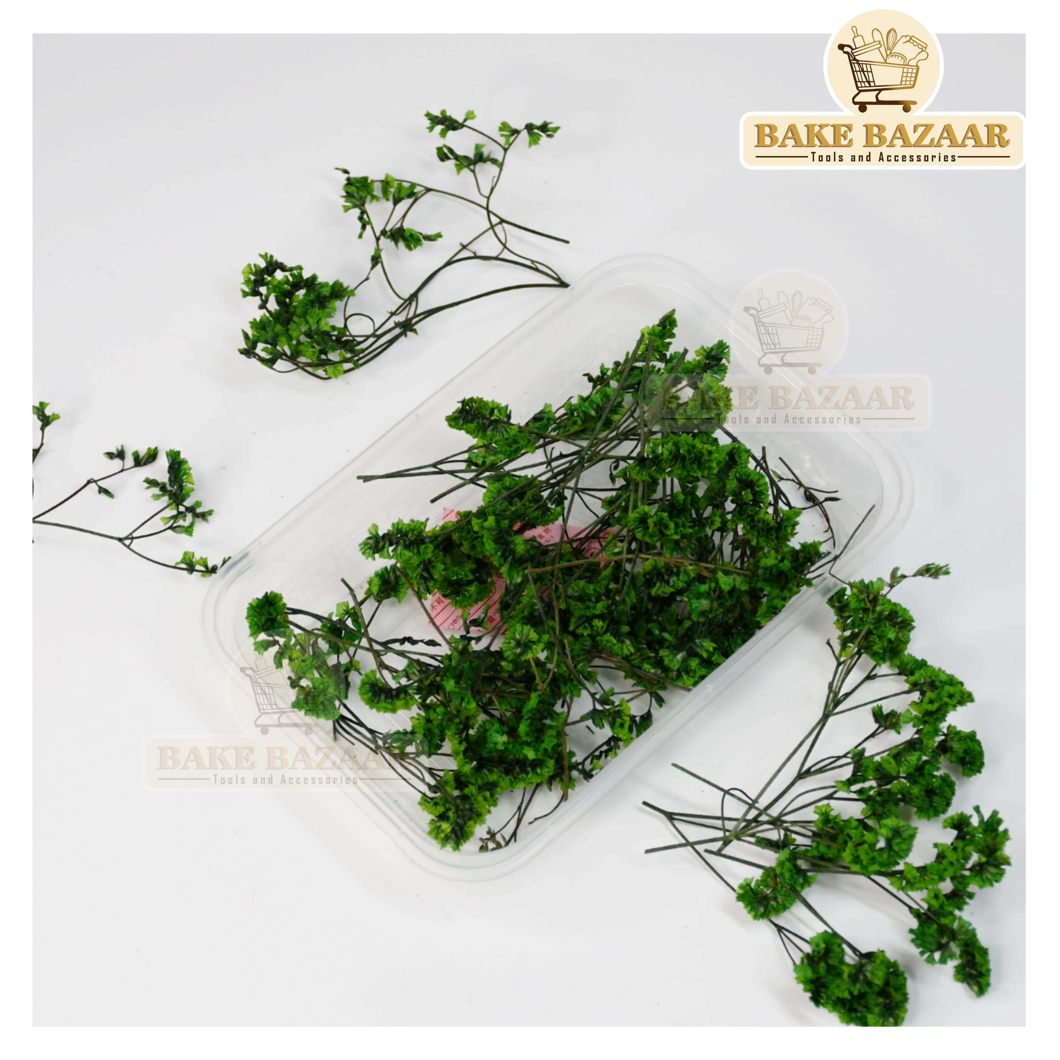 DRY Flowers, Multicolor Real Dry Flower Box for Resin Art, Craft, Projects, Decoration . MG227B6