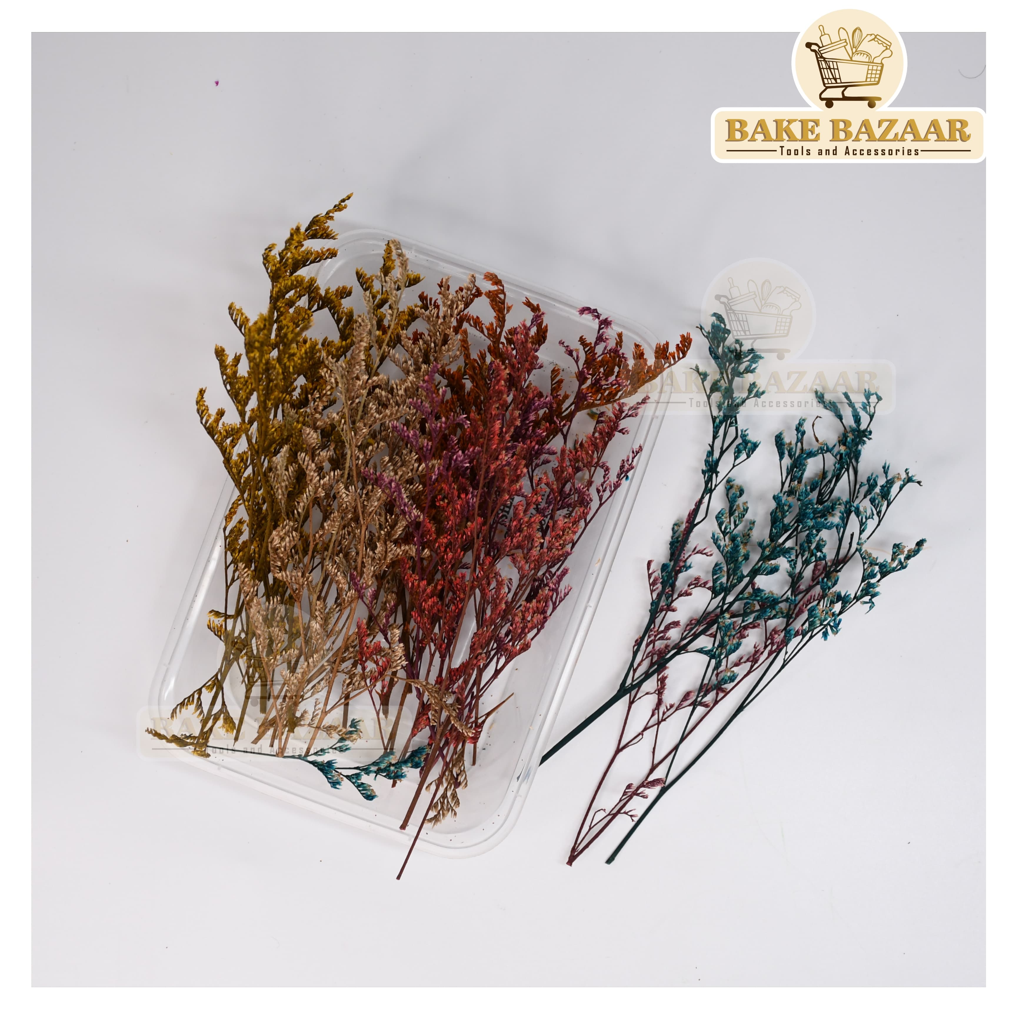 DRY Flowers, Multicolor Real Dry Flower Box for Resin Art, Craft, Projects, Decoration . MG227C8