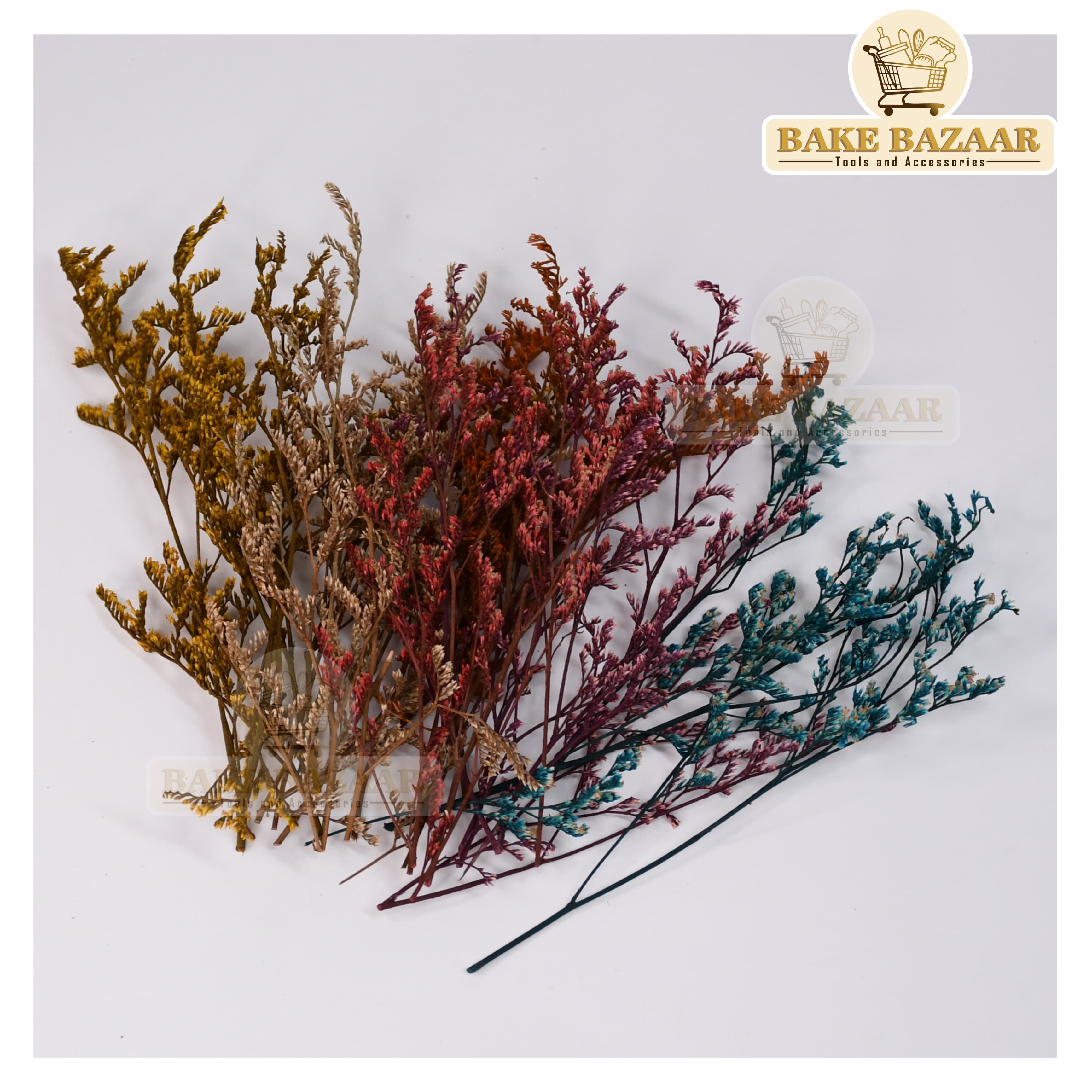 DRY Flowers, Multicolor Real Dry Flower Box for Resin Art, Craft, Projects, Decoration . MG227C8