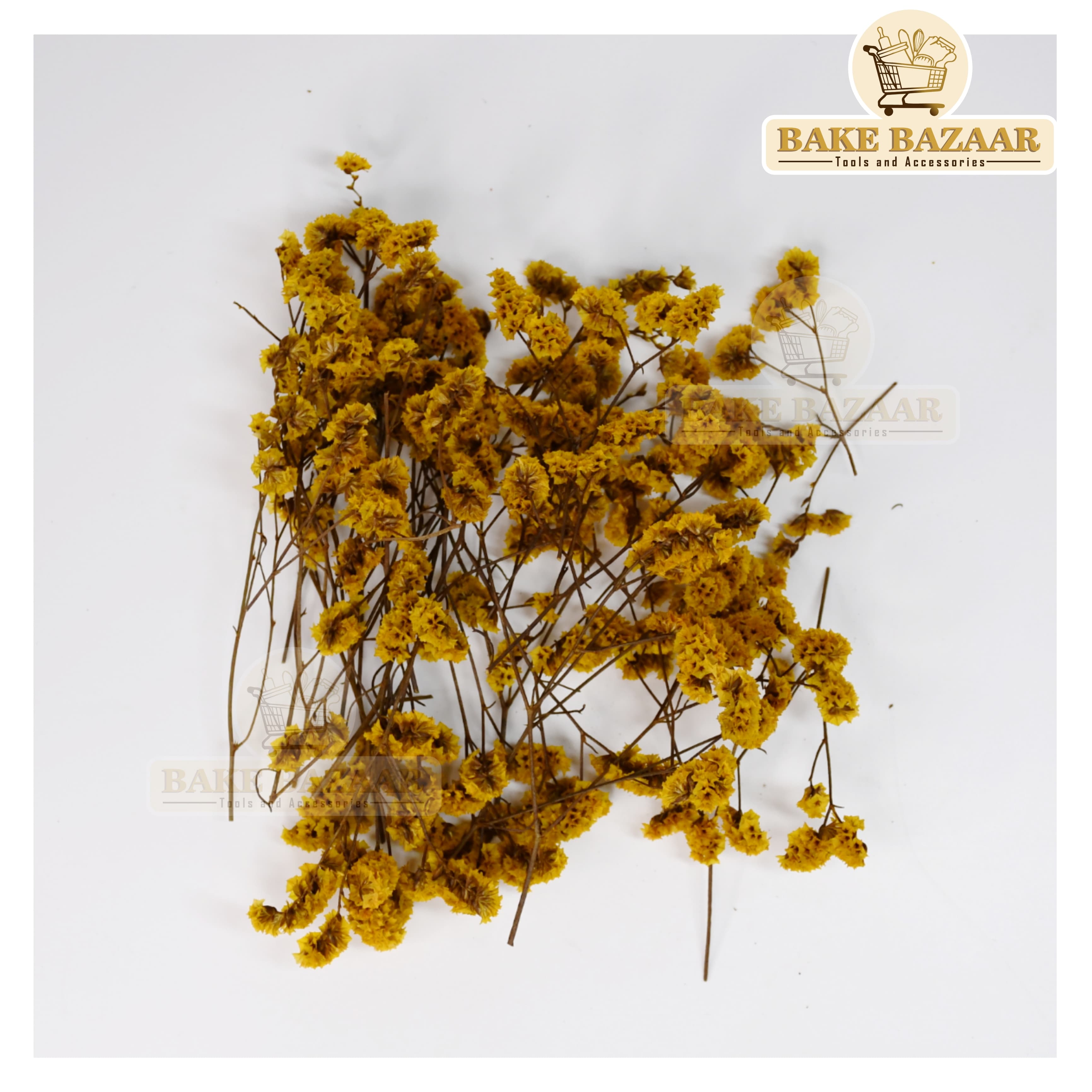 DRY Flowers, Multicolor Real Dry Flower Box for Resin Art, Craft, Projects, Decoration . MG227B1