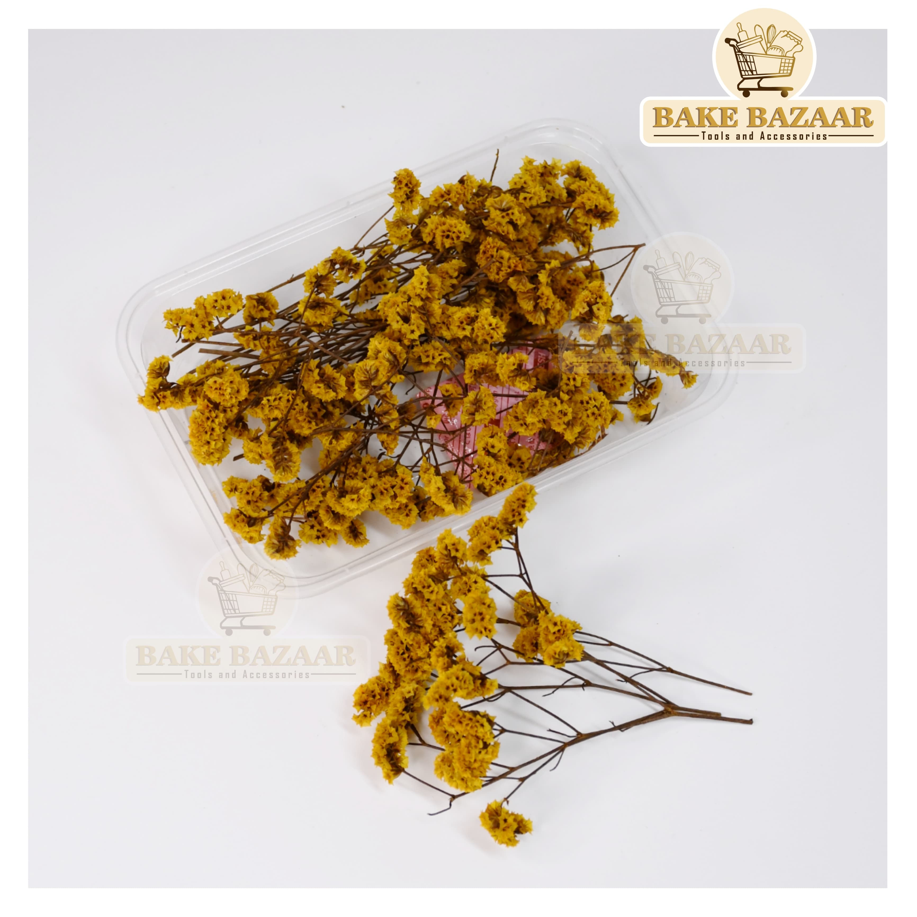 DRY Flowers, Multicolor Real Dry Flower Box for Resin Art, Craft, Projects, Decoration . MG227B1