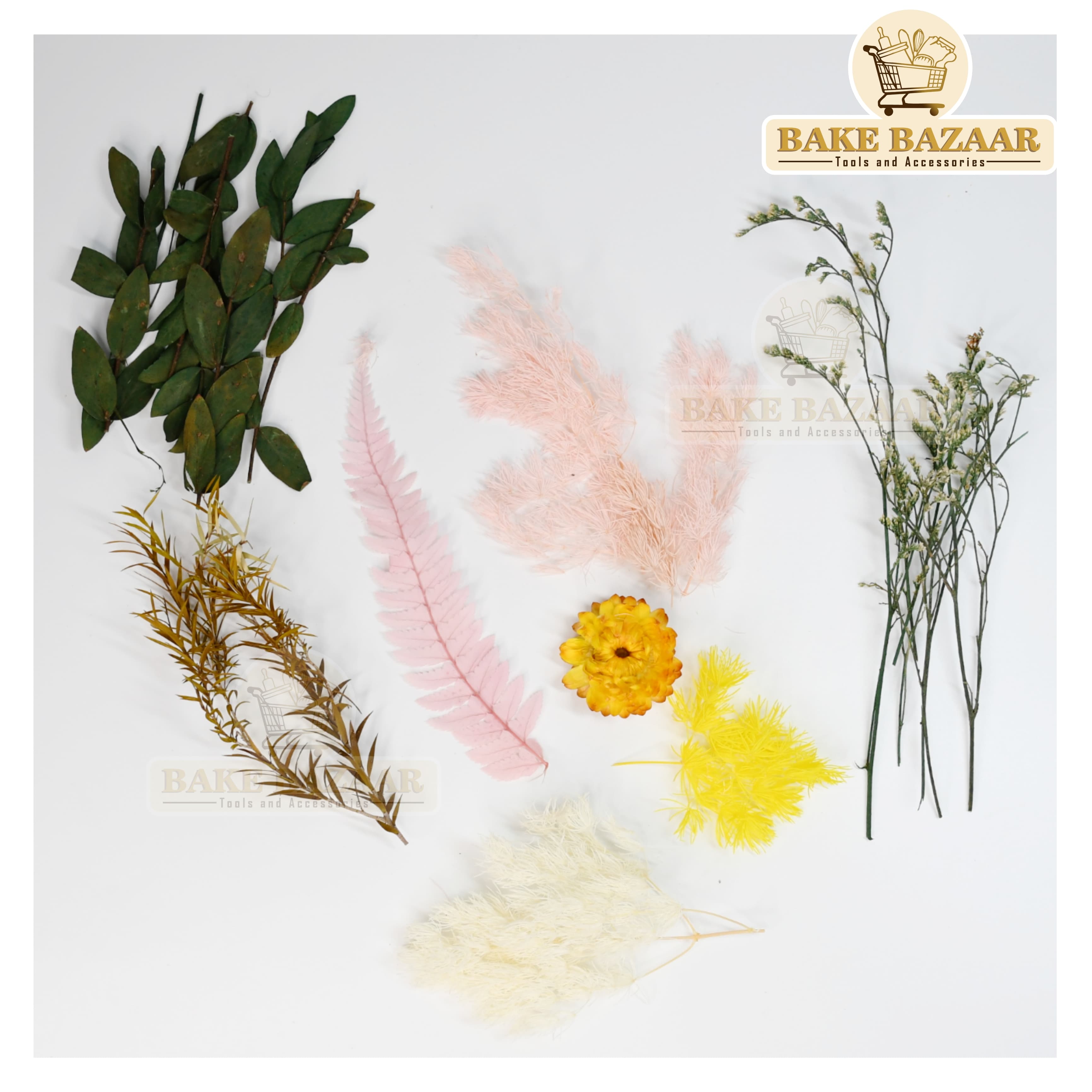 DRY Flowers, Multicolor Real Dry Flower Box for Resin Art, Craft, Projects, Decoration . MG20515