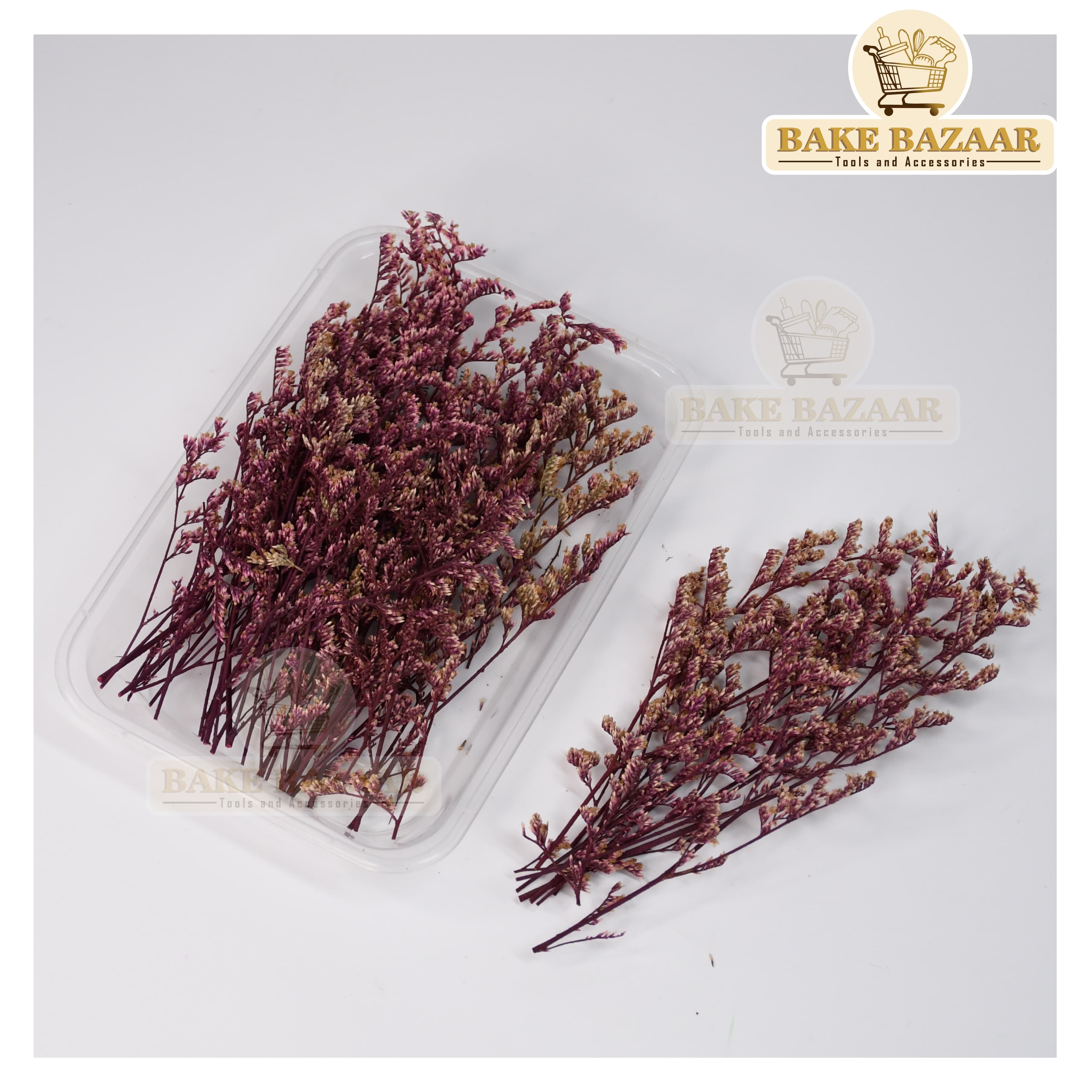 DRY Flowers, Multicolor Real Dry Flower Box for Resin Art, Craft, Projects, Decoration . MG227C3