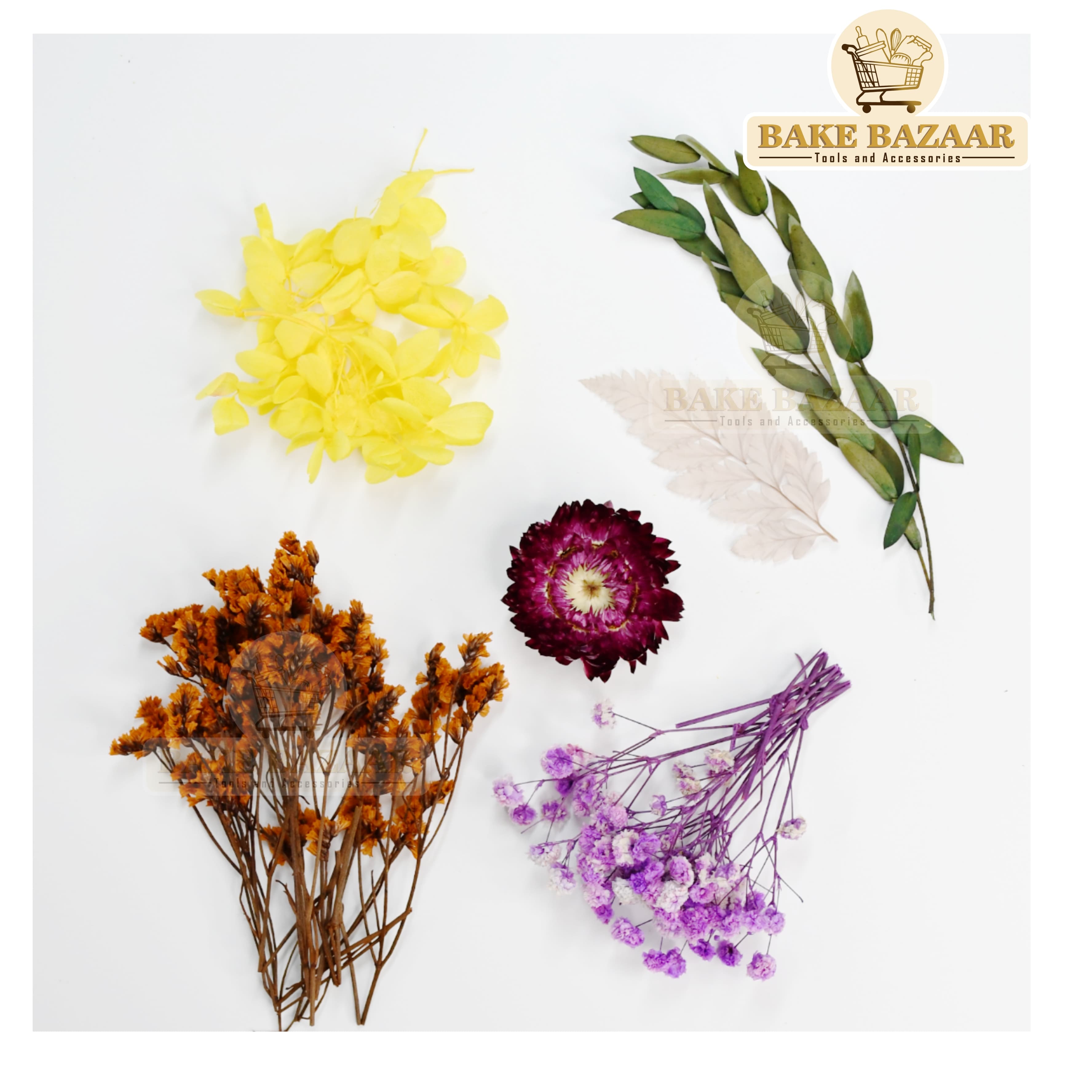 DRY Flowers, Multicolor Real Dry Flower Box for Resin Art, Craft, Projects, Decoration . MG20518