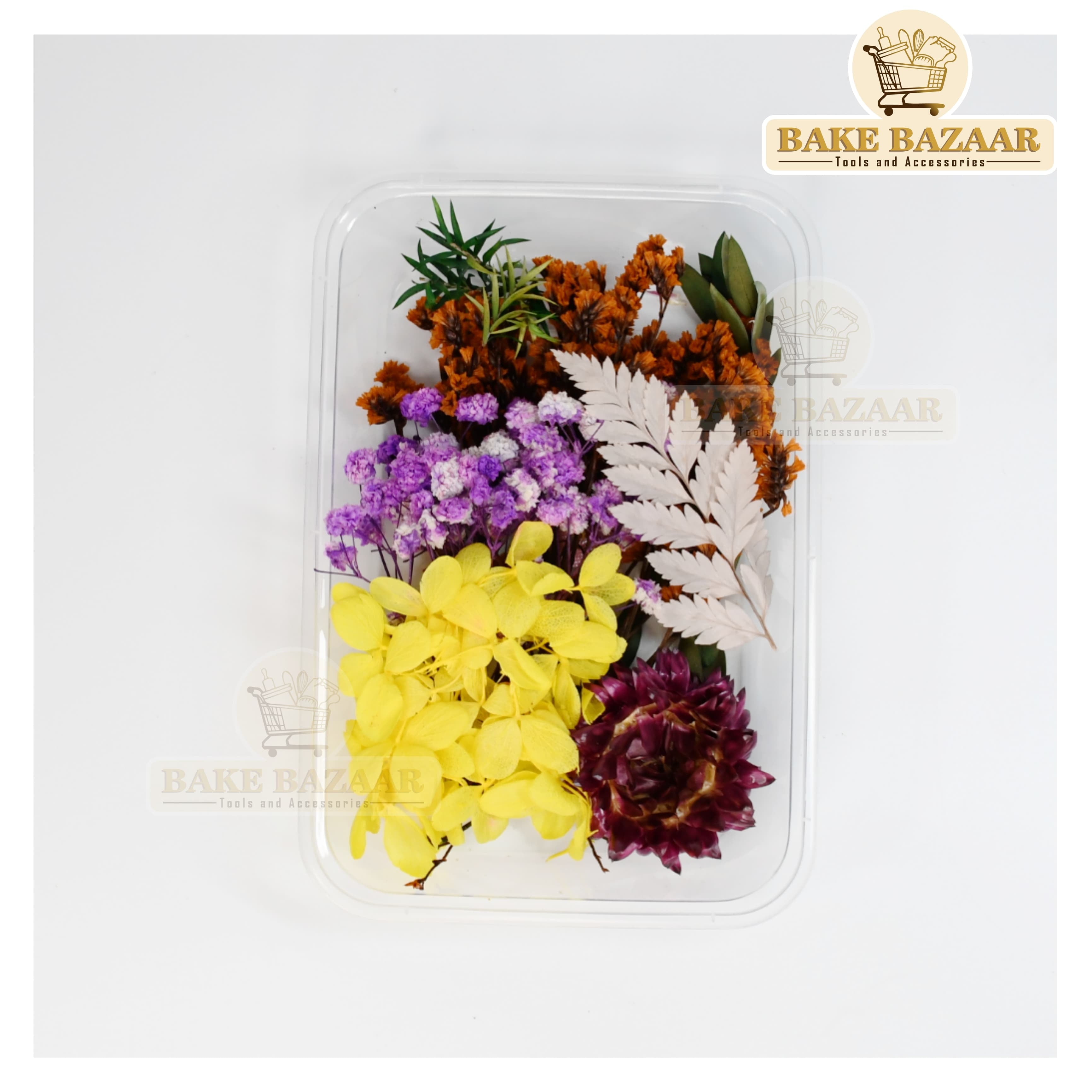 DRY Flowers, Multicolor Real Dry Flower Box for Resin Art, Craft, Projects, Decoration . MG20518
