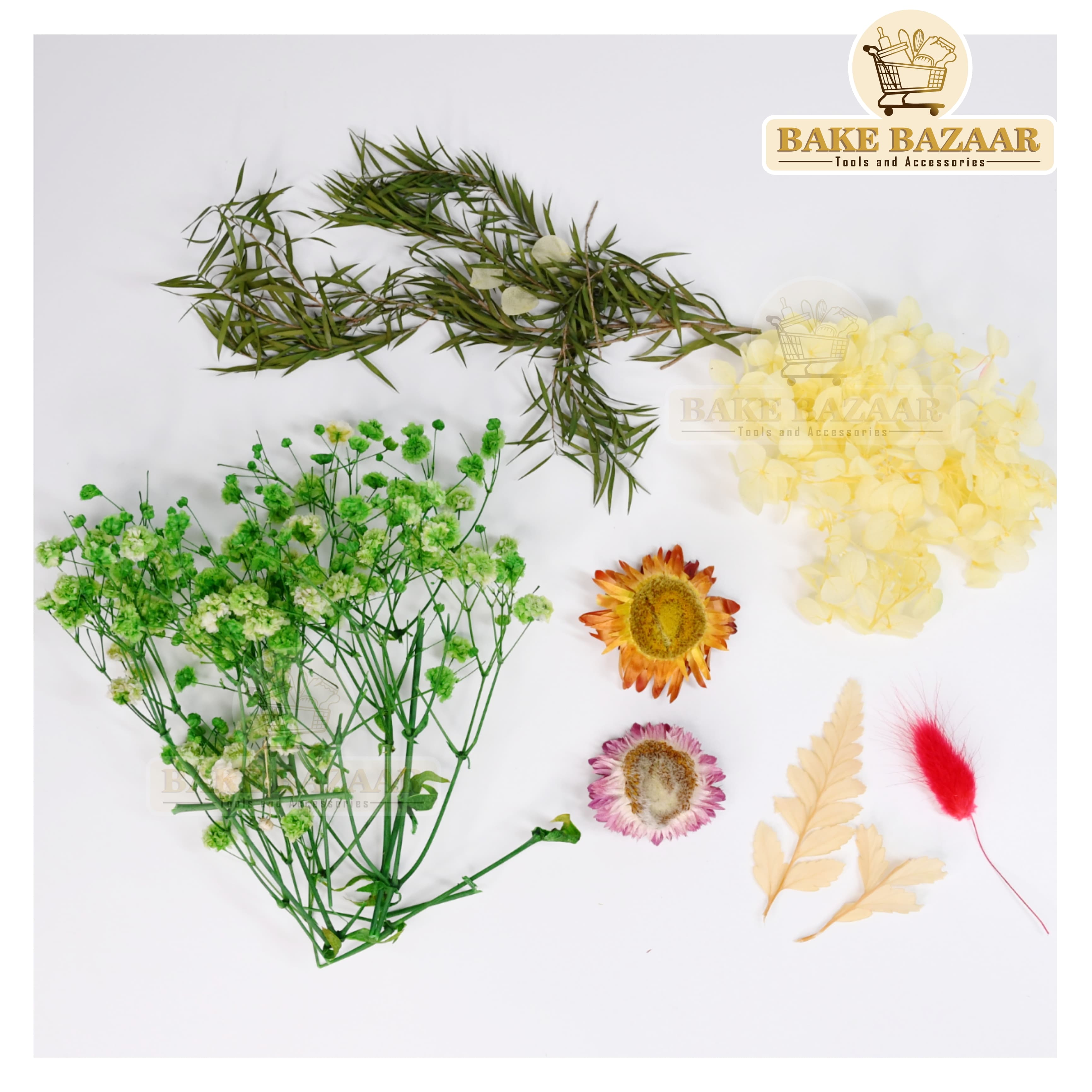 DRY Flowers, Multicolor Real Dry Flower Box for Resin Art, Craft, Projects, Decoration . MG20523