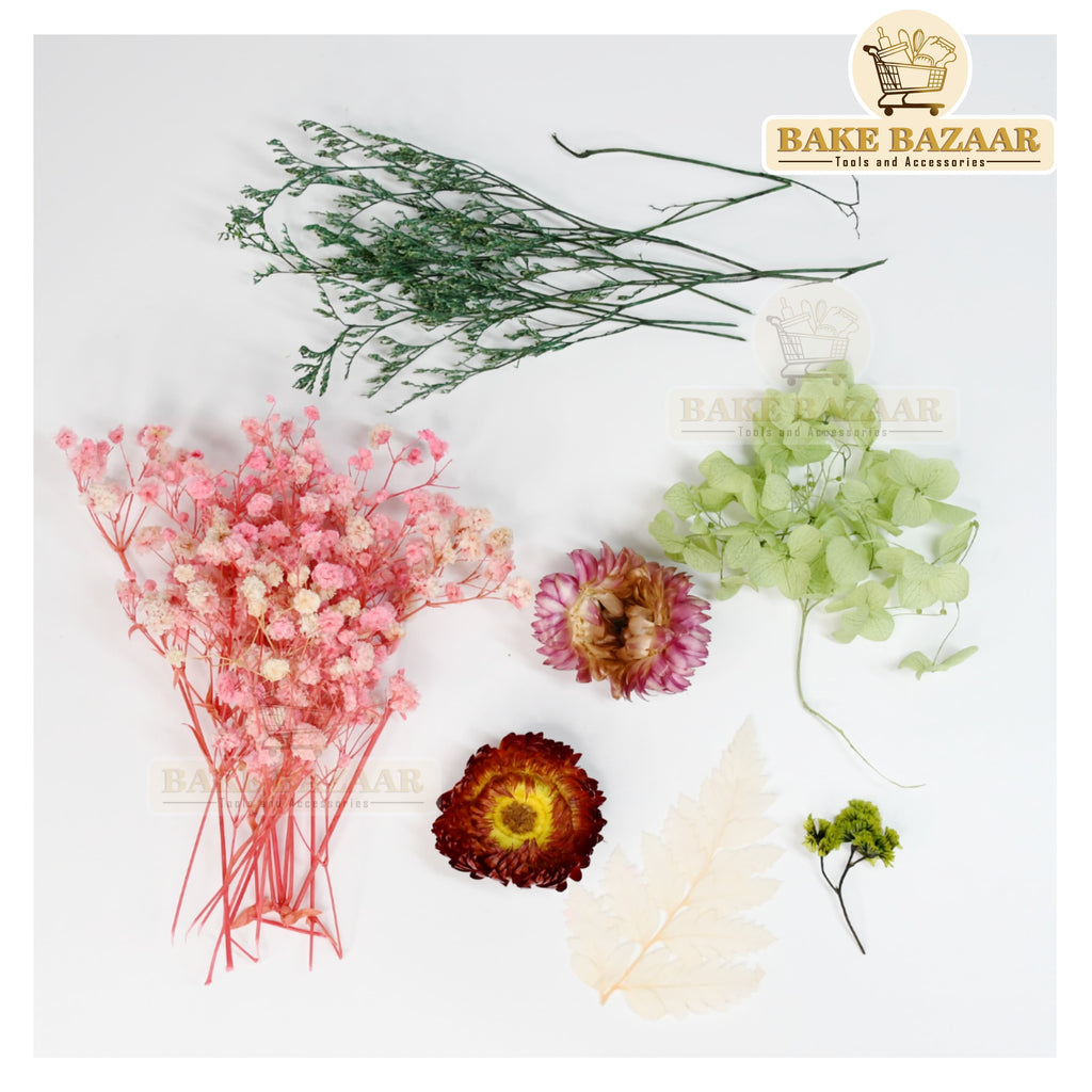 DRY Flowers, Multicolor Real Dry Flower Box for Resin Art, Craft, Projects, Decoration . MG20529