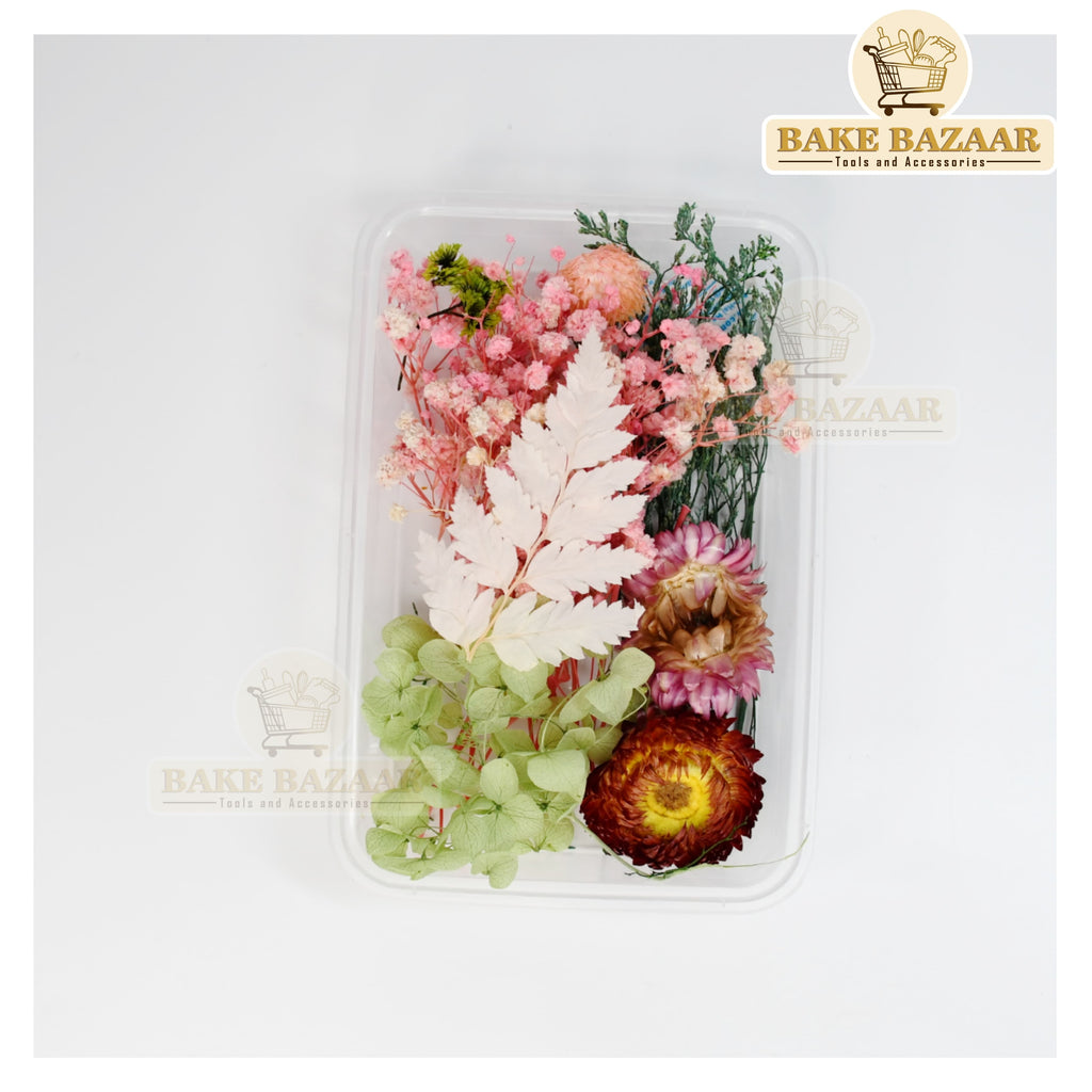 DRY Flowers, Multicolor Real Dry Flower Box for Resin Art, Craft, Projects, Decoration . MG20529