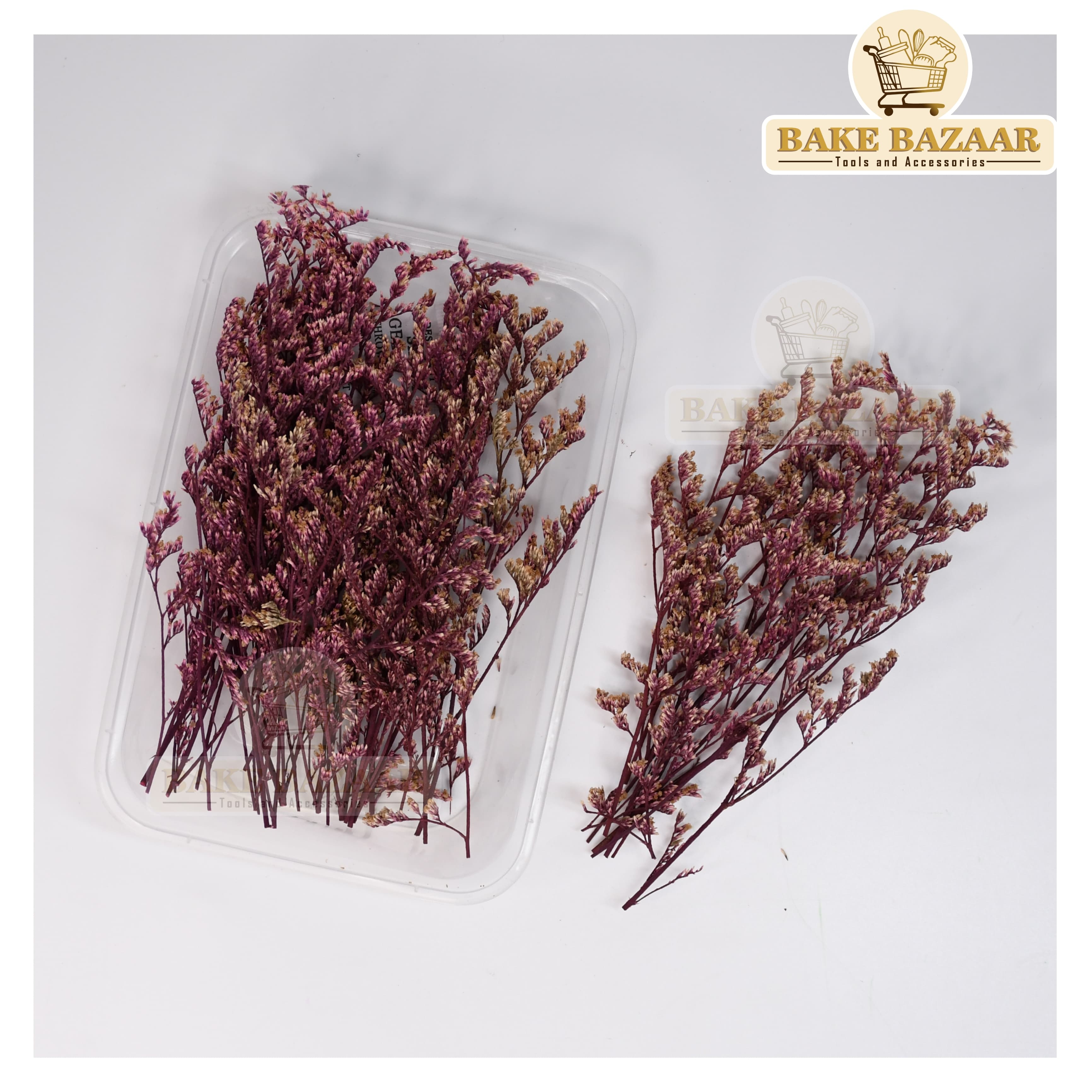 DRY Flowers, Multicolor Real Dry Flower Box for Resin Art, Craft, Projects, Decoration . MG227C3