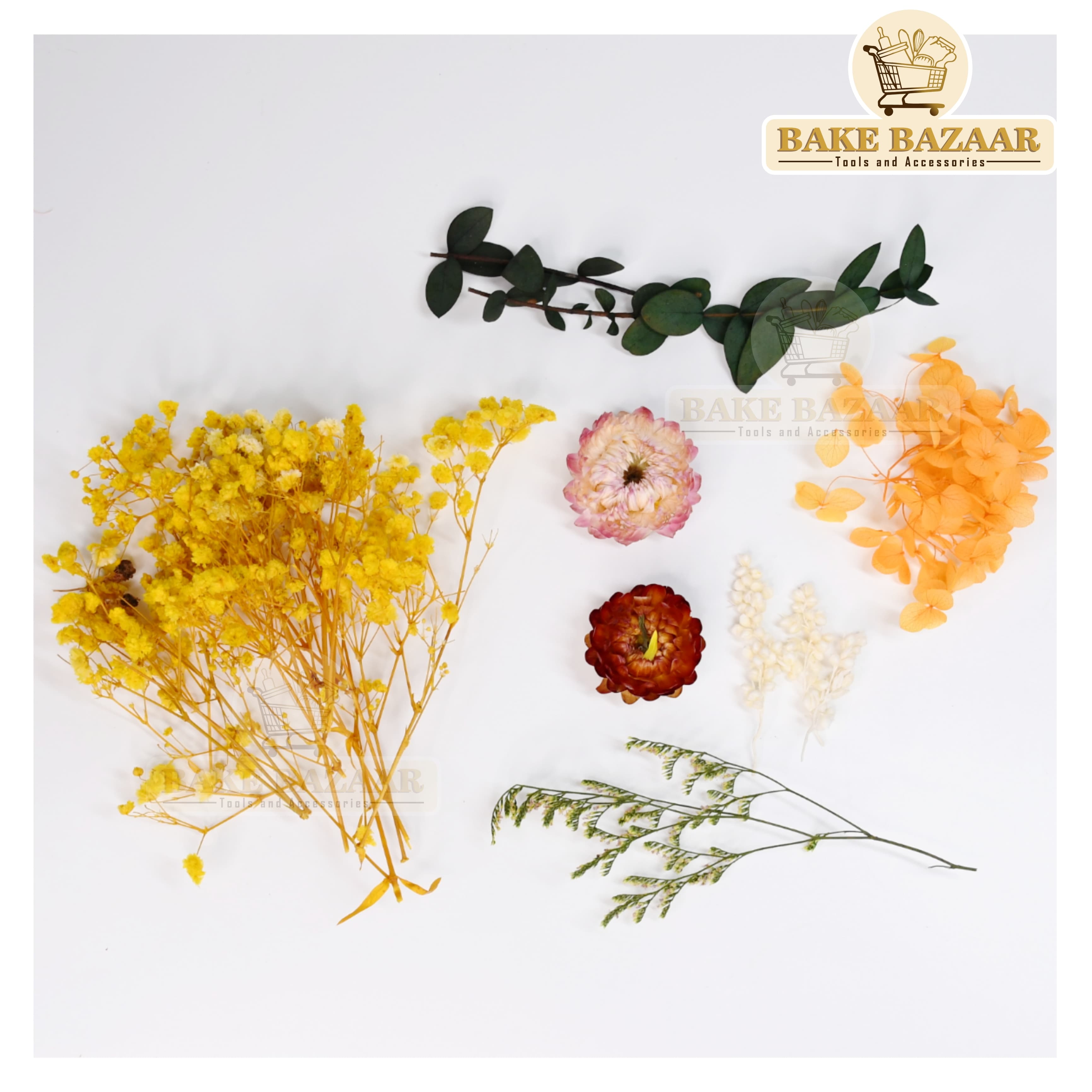 DRY Flowers, Multicolor Real Dry Flower Box for Resin Art, Craft, Projects, Decoration . MG20535