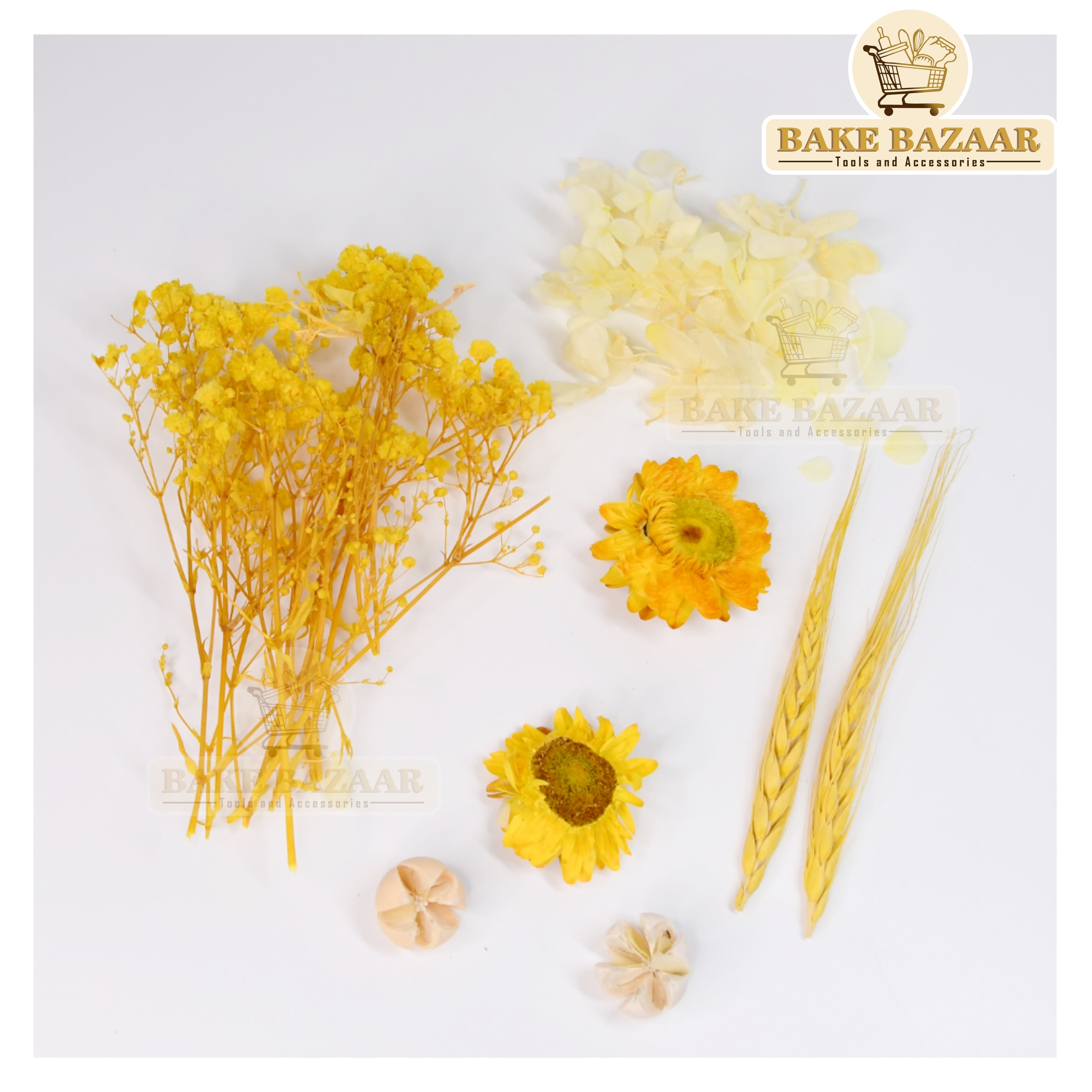 DRY Flowers, Multicolor Real Dry Flower Box for Resin Art, Craft, Projects, Decoration . MG2058