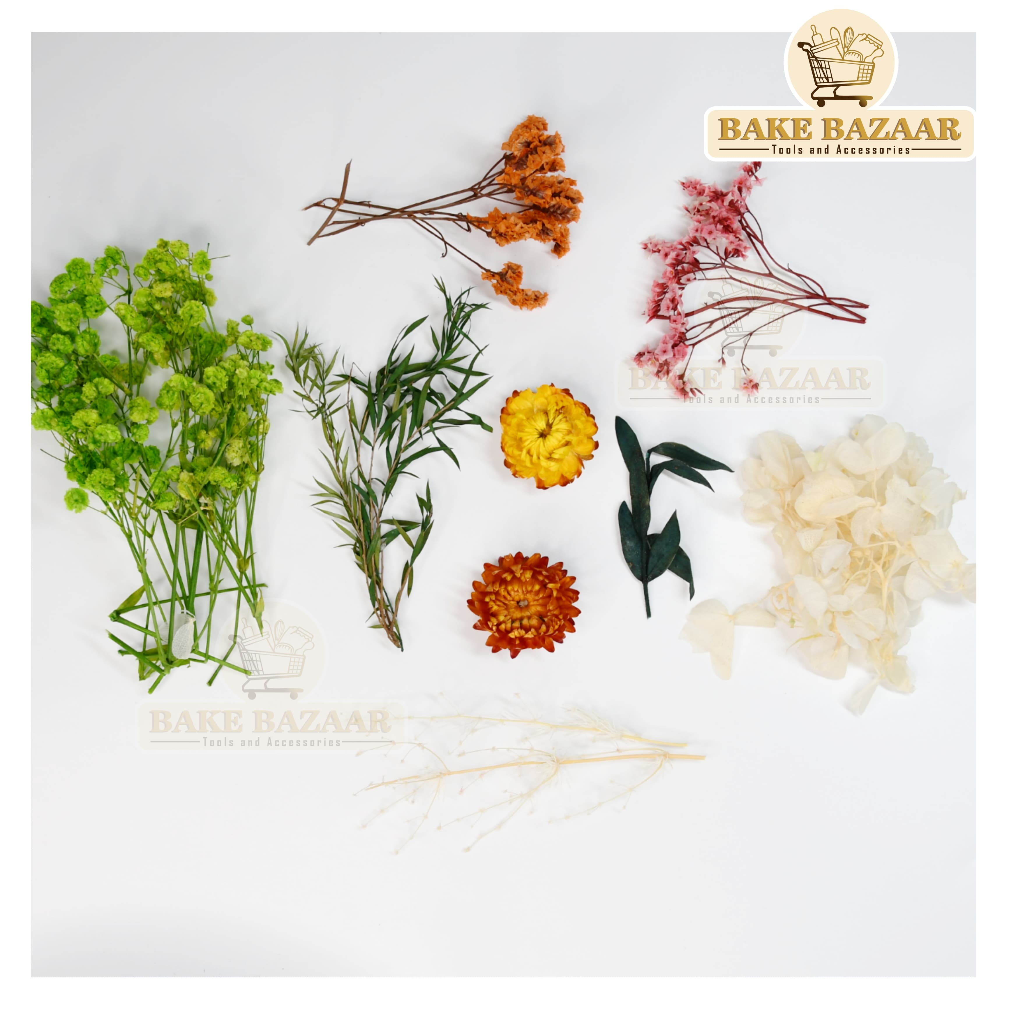 DRY Flowers, Multicolor Real Dry Flower Box for Resin Art, Craft, Projects, Decoration . MG20537