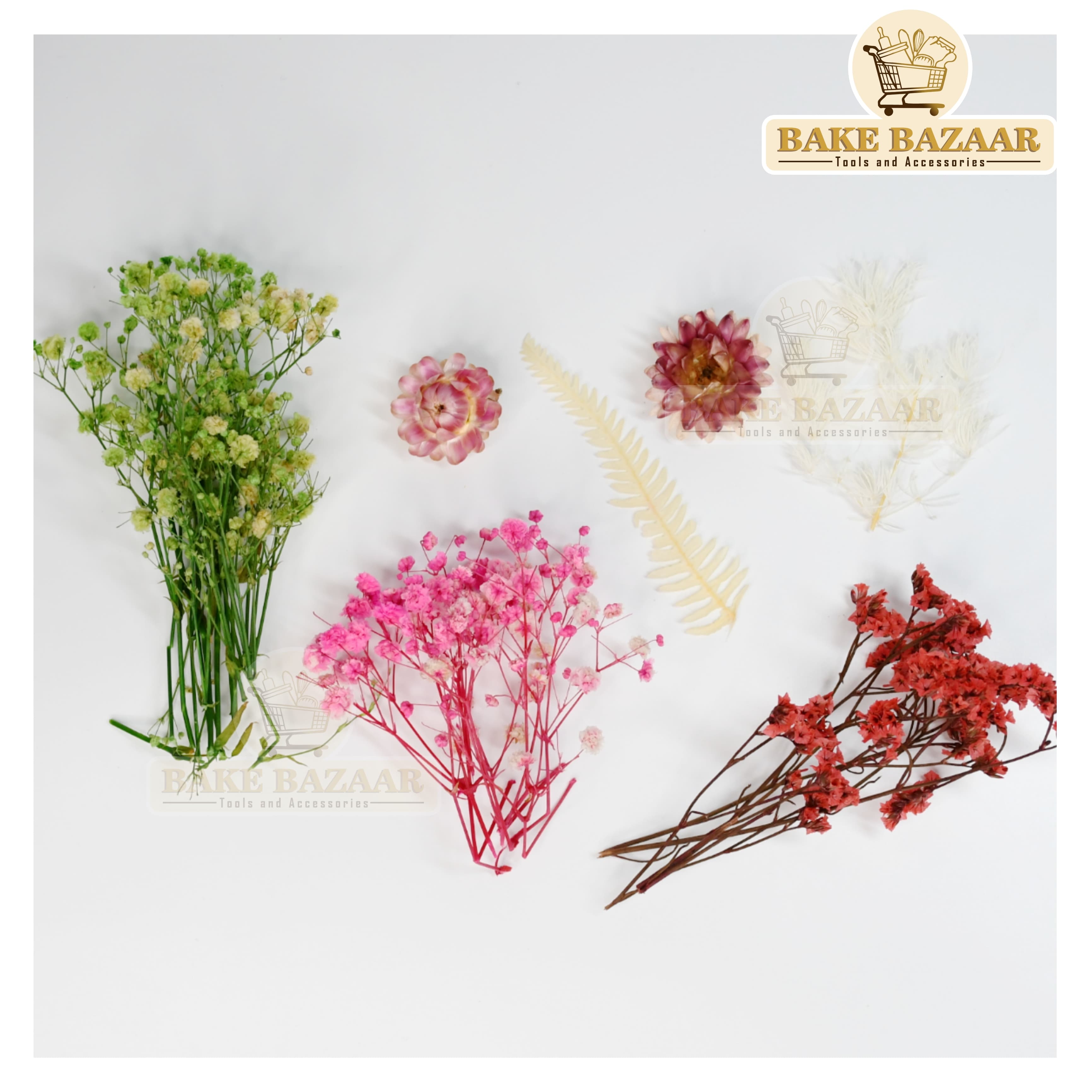 DRY Flowers, Multicolor Real Dry Flower Box for Resin Art, Craft, Projects, Decoration . MG20528