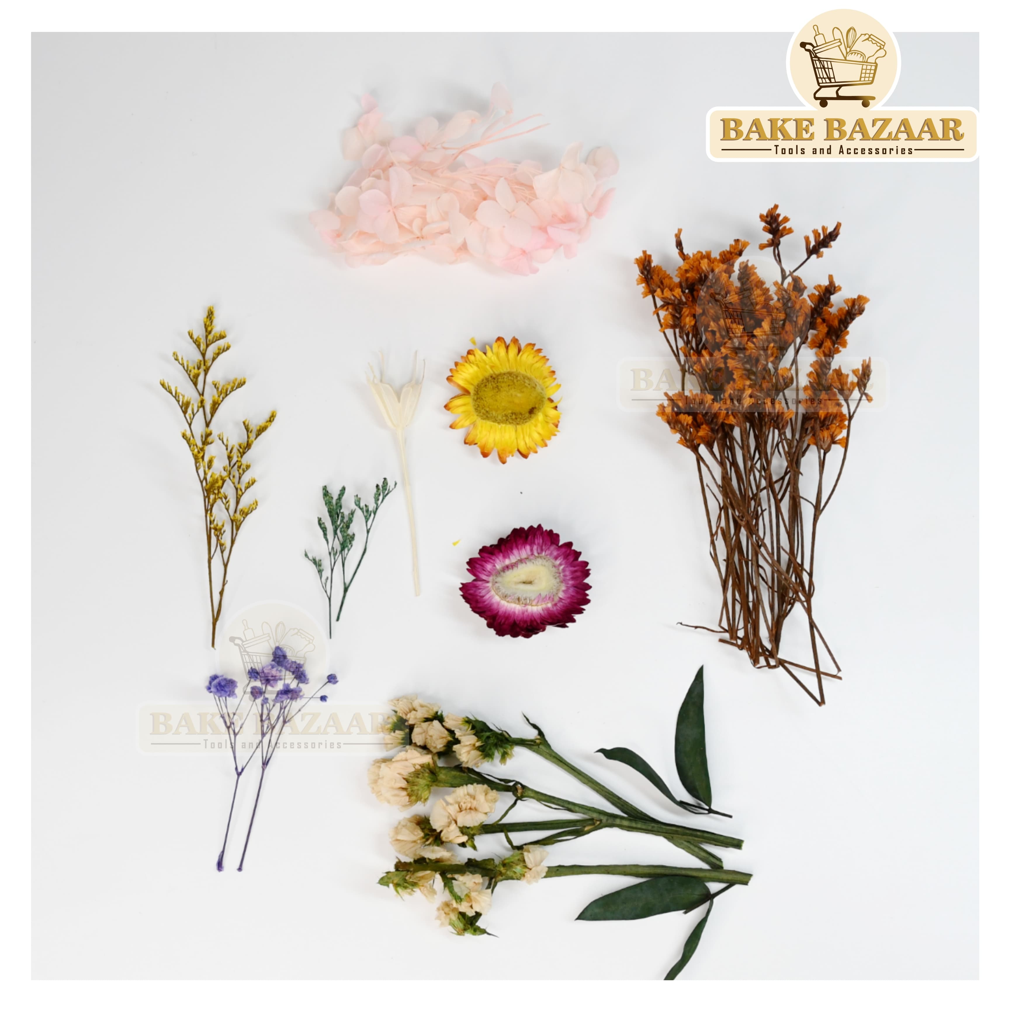 DRY Flowers, Multicolor Real Dry Flower Box for Resin Art, Craft, Projects, Decoration . MG20536