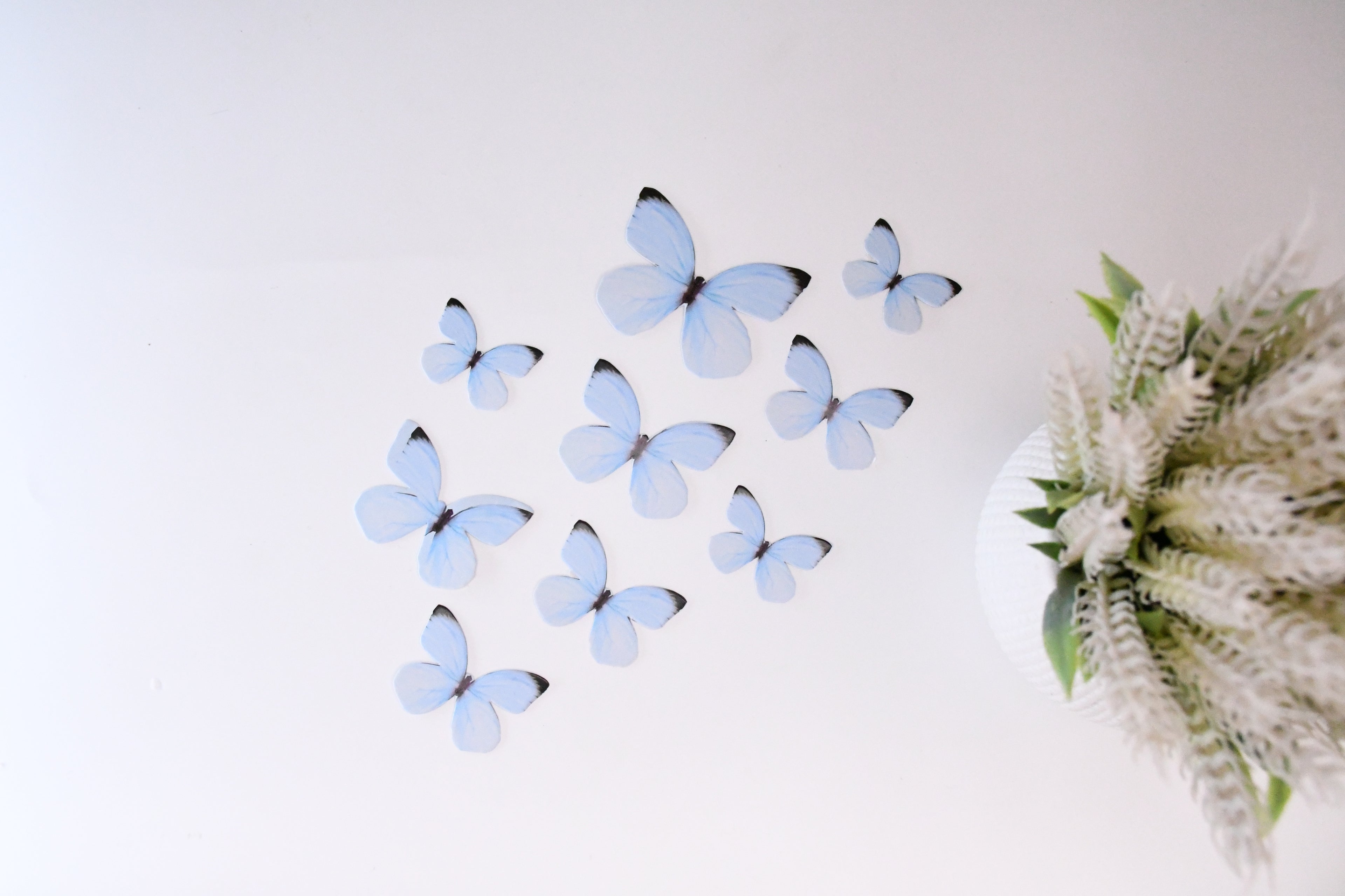 Blue Butterfly Cake Topper