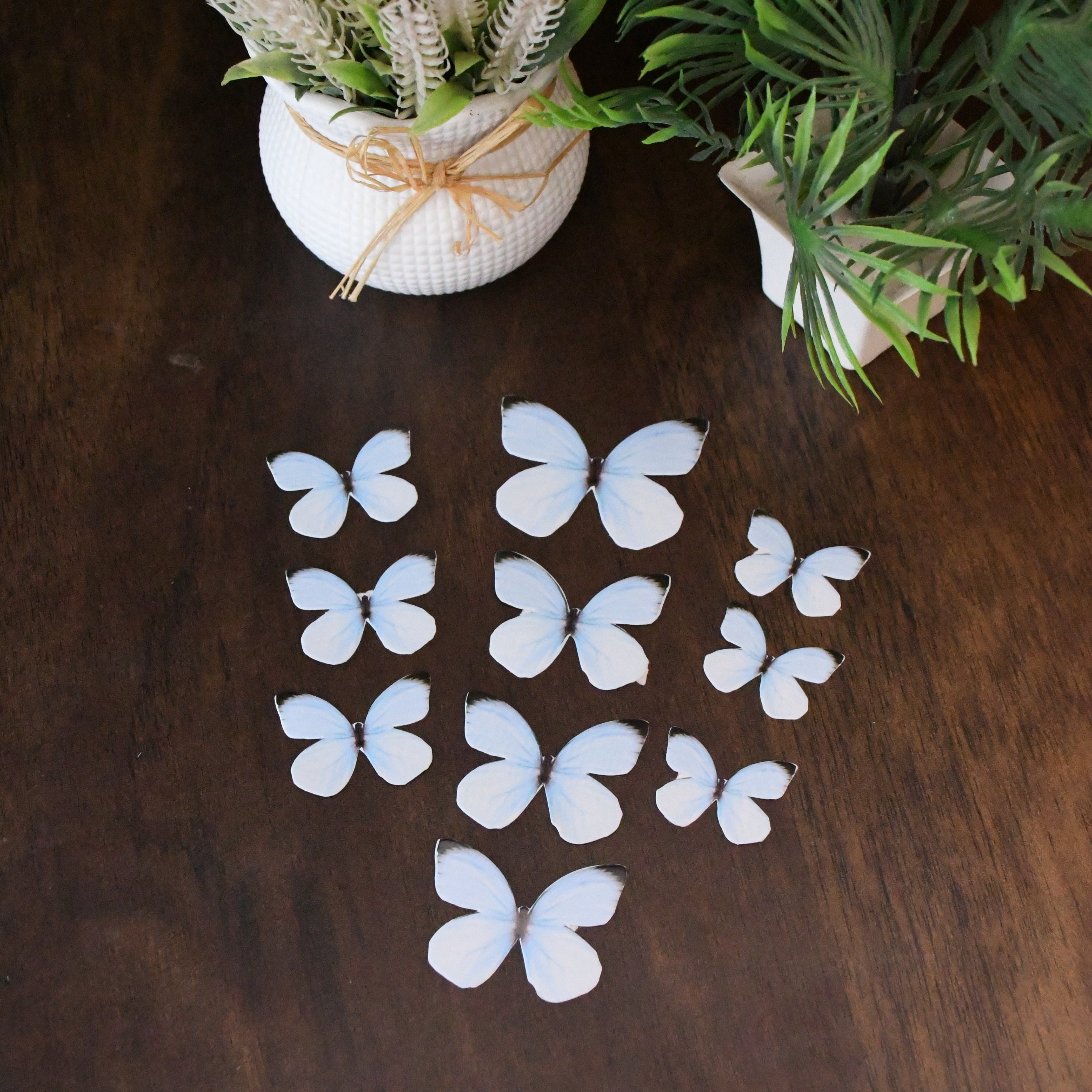 Blue Butterfly Cake Topper