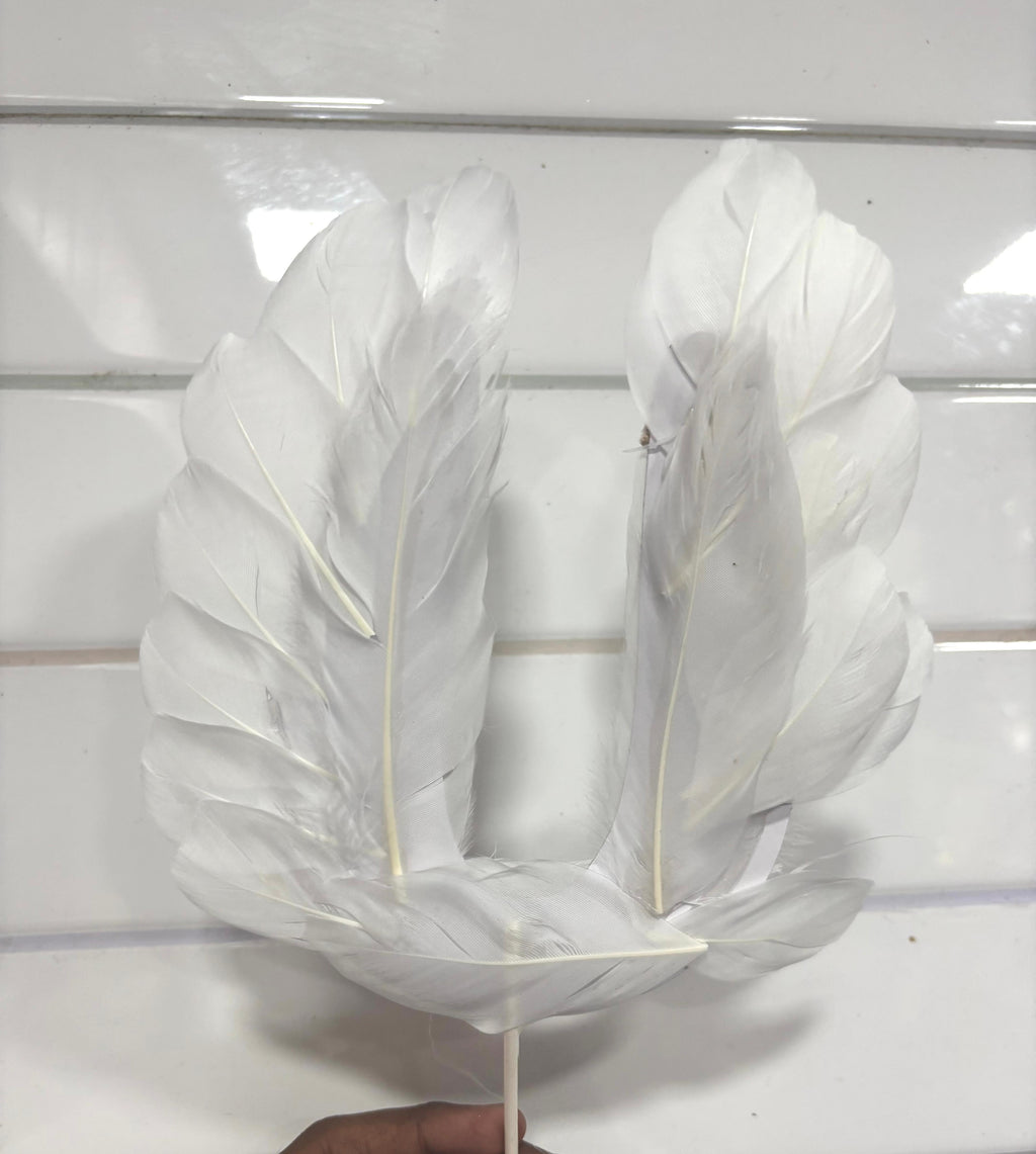 Angel Wing Feather White