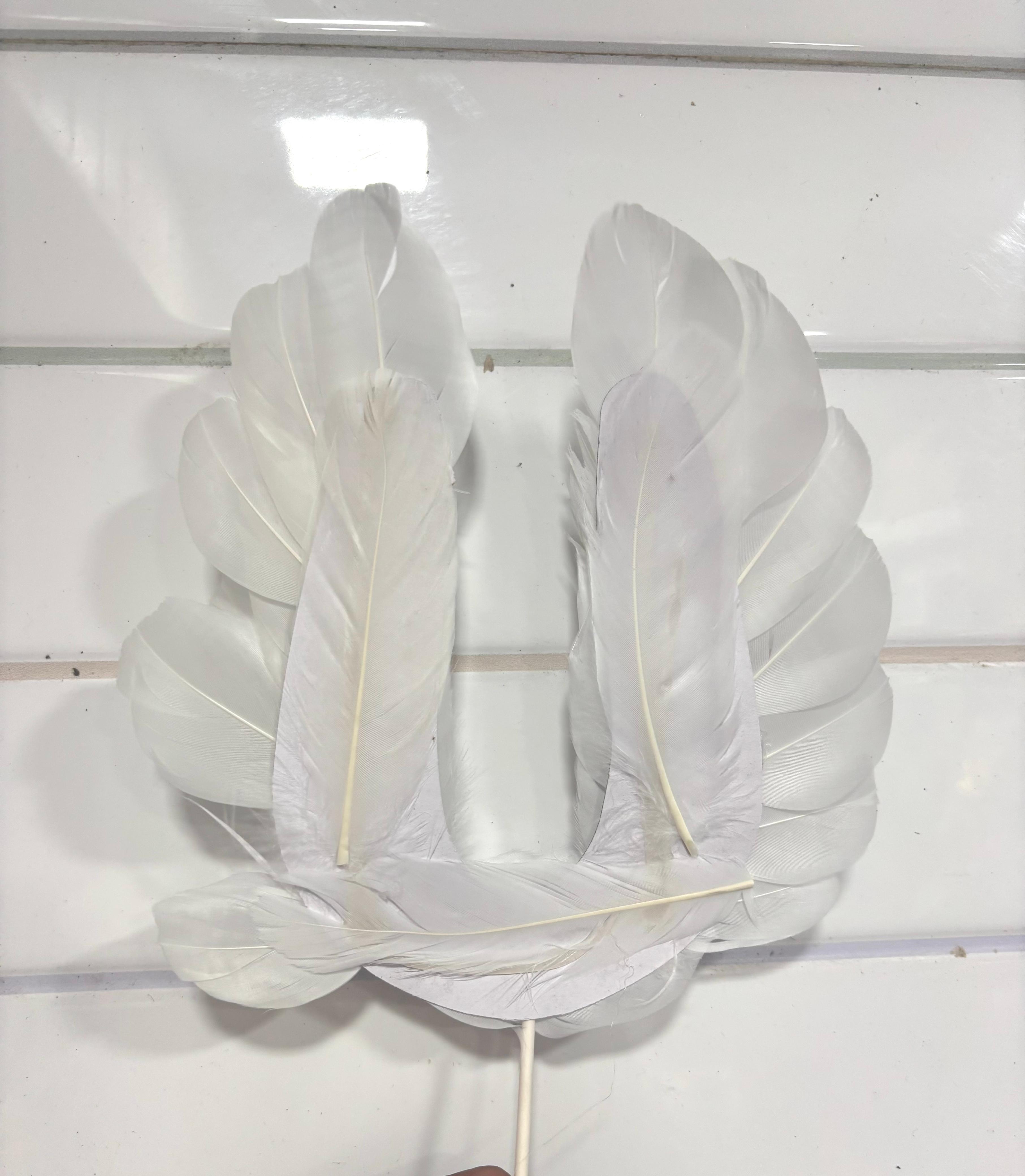 Angel Wing Feather White